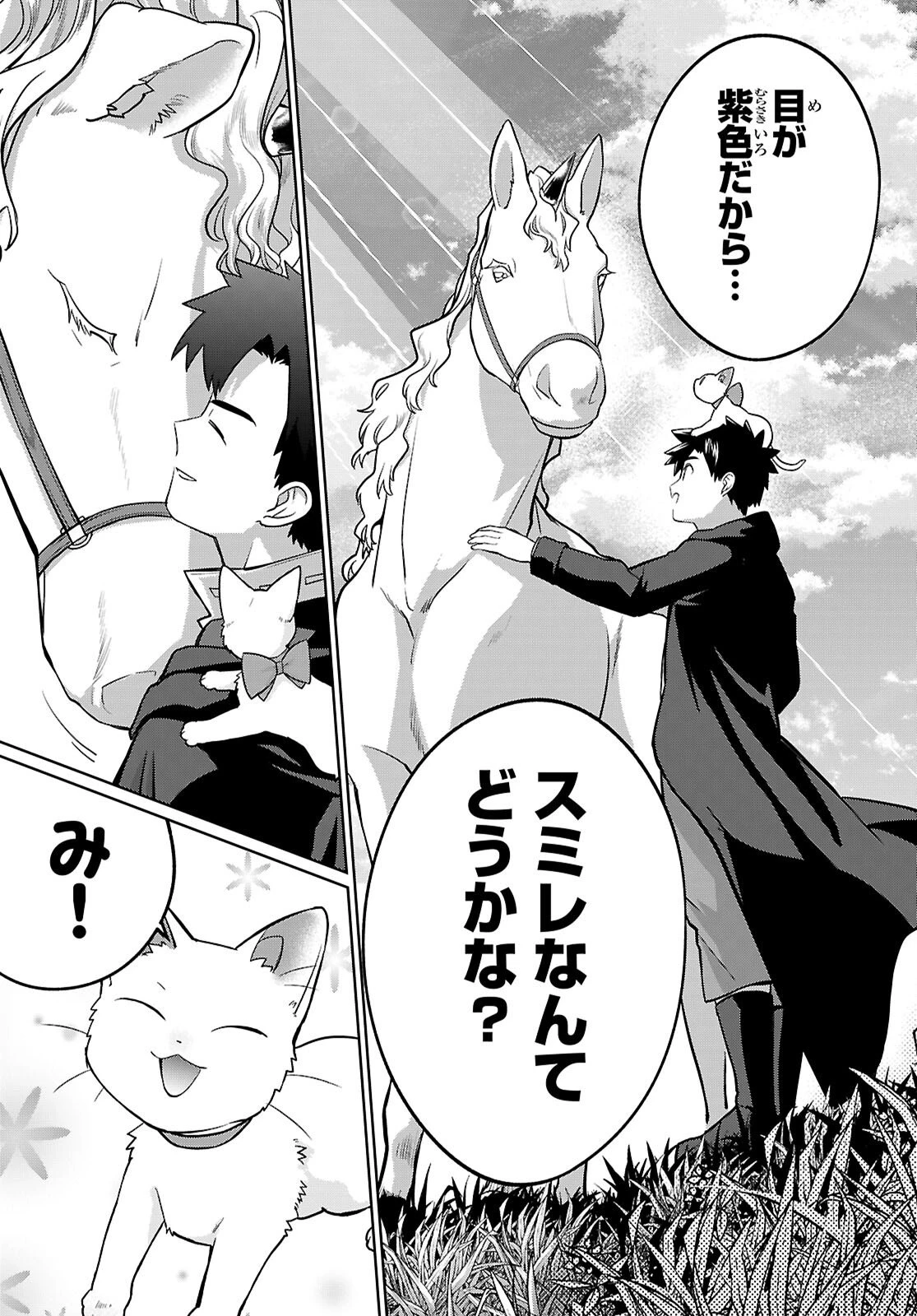神猫ミーちゃんと猫用品召喚師の異世界奮闘記 ～目指すは、もふもふスローライフ!～ 第7話 - 9