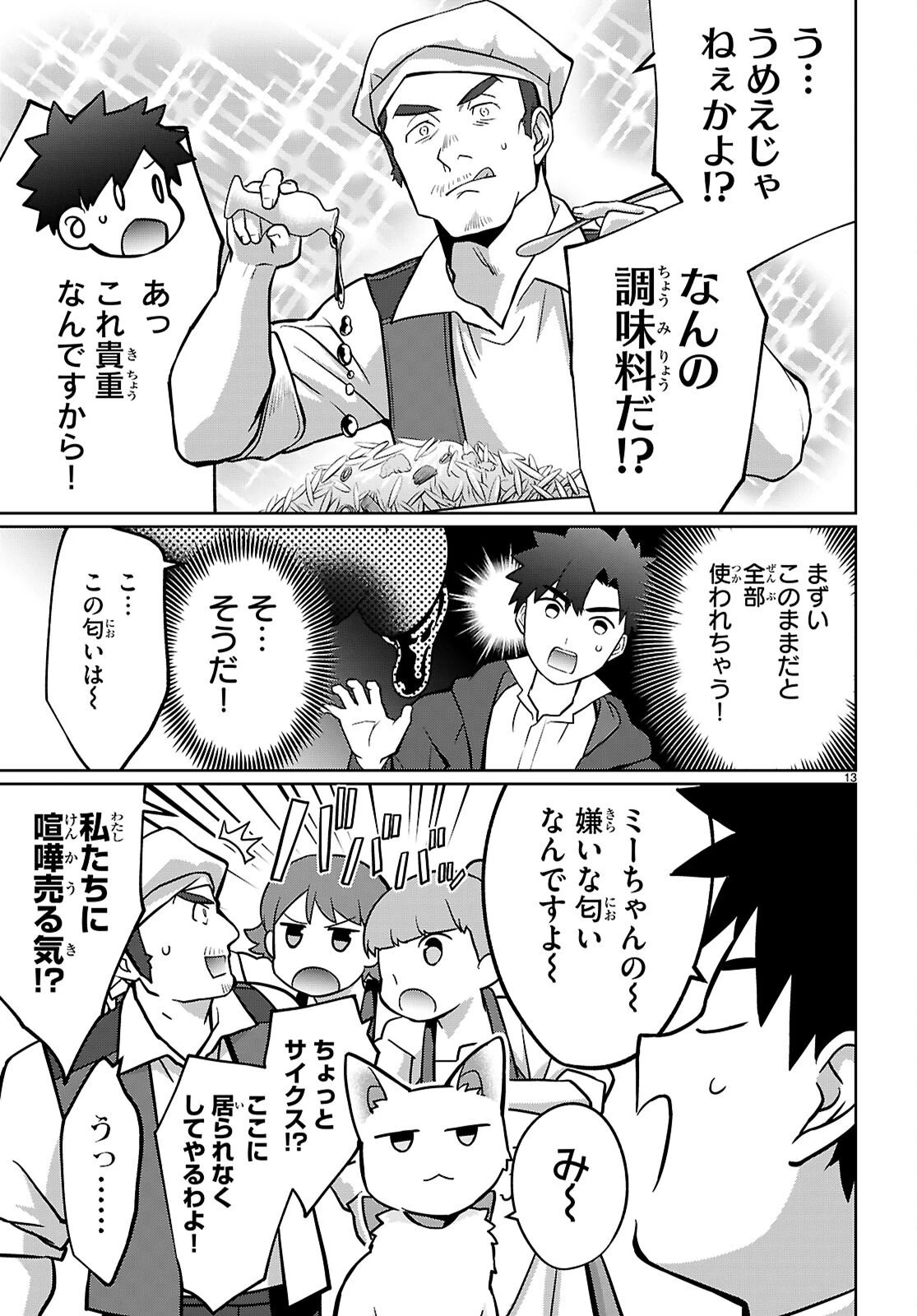 神猫ミーちゃんと猫用品召喚師の異世界奮闘記 ～目指すは、もふもふスローライフ!～ 第7話 - 13
