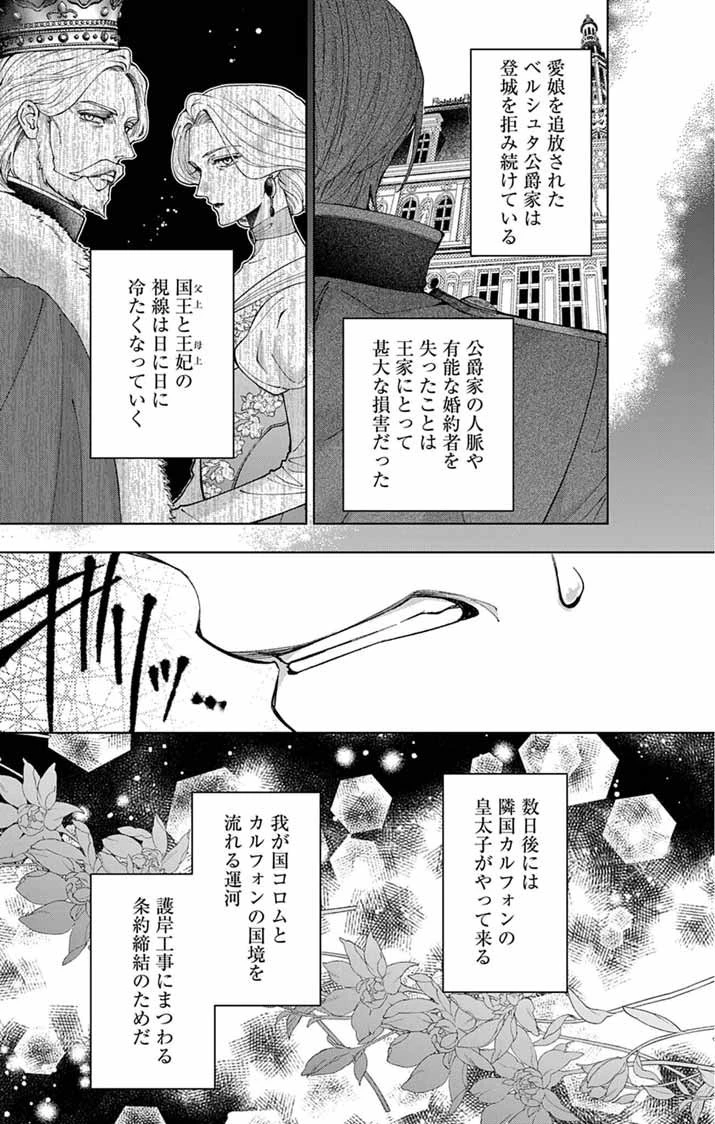 追放令嬢からの手紙～かつて愛していた皆さまへ 私のことなどお忘れですか?～ 第1話 - 19