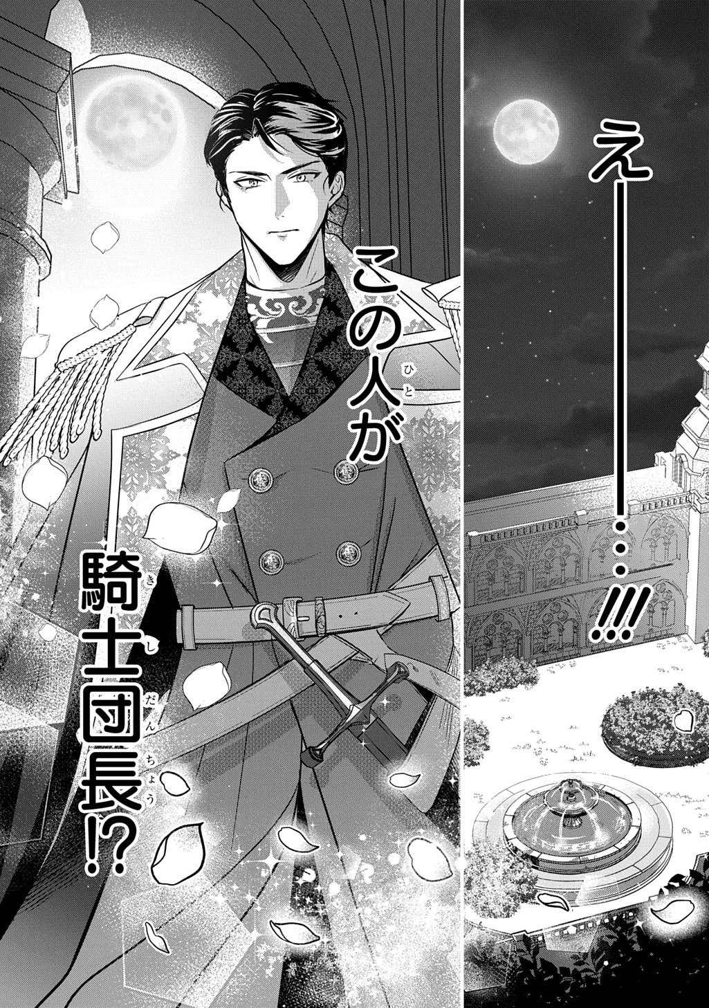 騎士団長! 私は不審者ではありません! まして、婚約者になんてなれません! THE COMIC 第1話 - 27