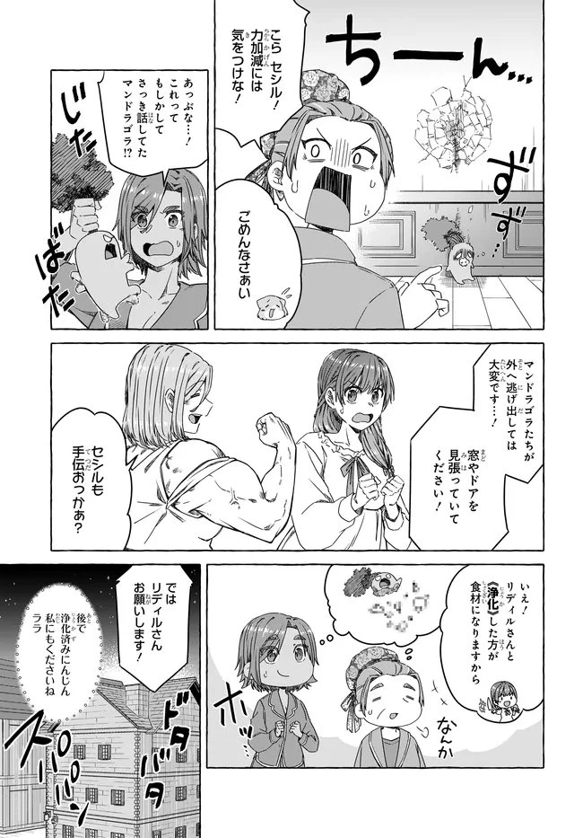 はらぺこ令嬢、れべるあっぷ食堂はじめました 〜うっかり抜いた包丁が聖剣でした⁉︎〜 第13.2話 - 7