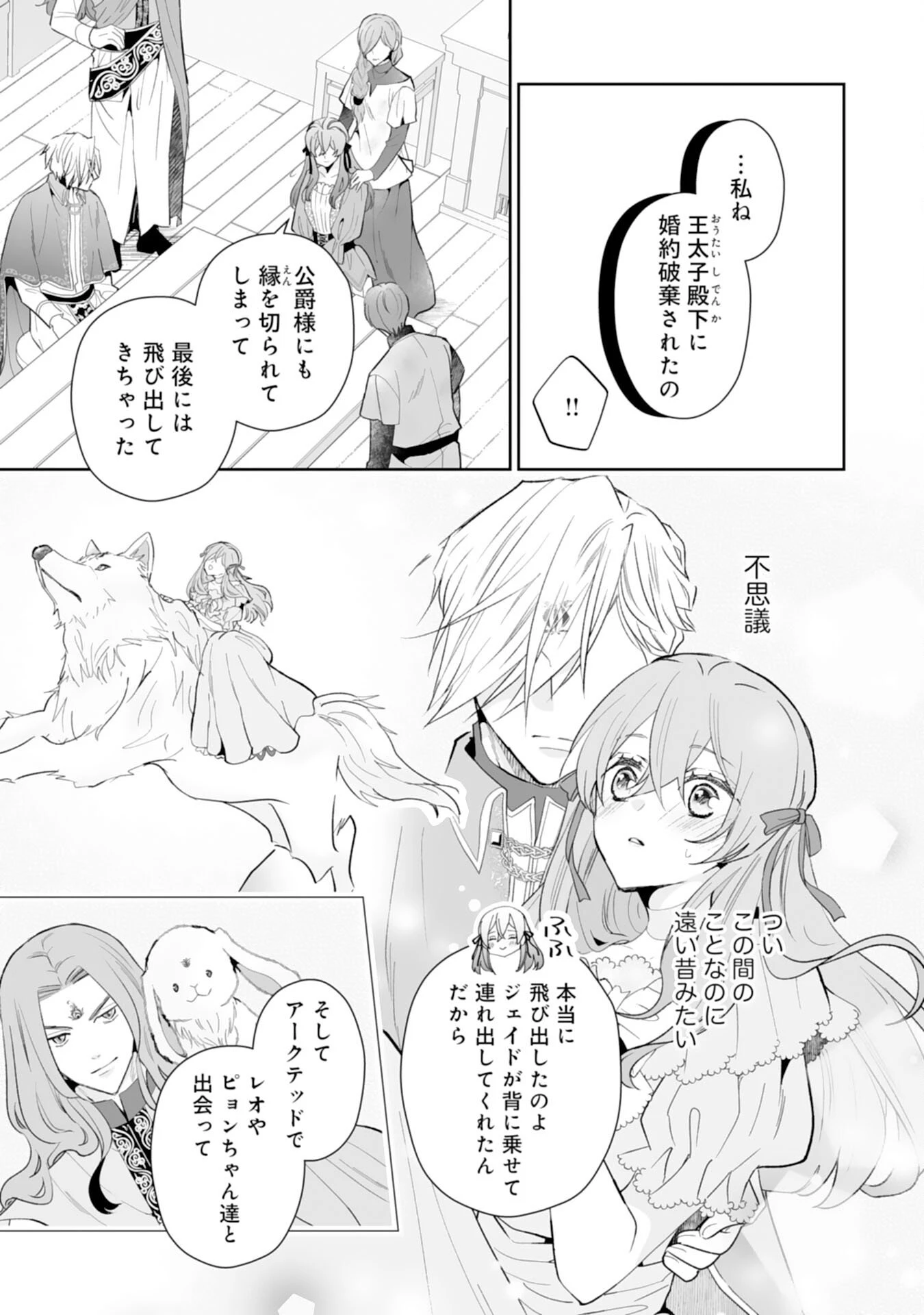 婚約破棄は本望です！聖女の力が開花したので私は自由に暮らします 第12話 - 19