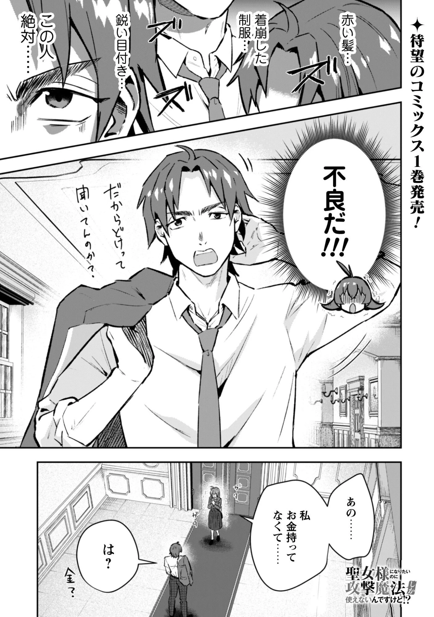 聖女様になりたいのに攻撃魔法しか使えないんですけど！？ 第8話 - 2