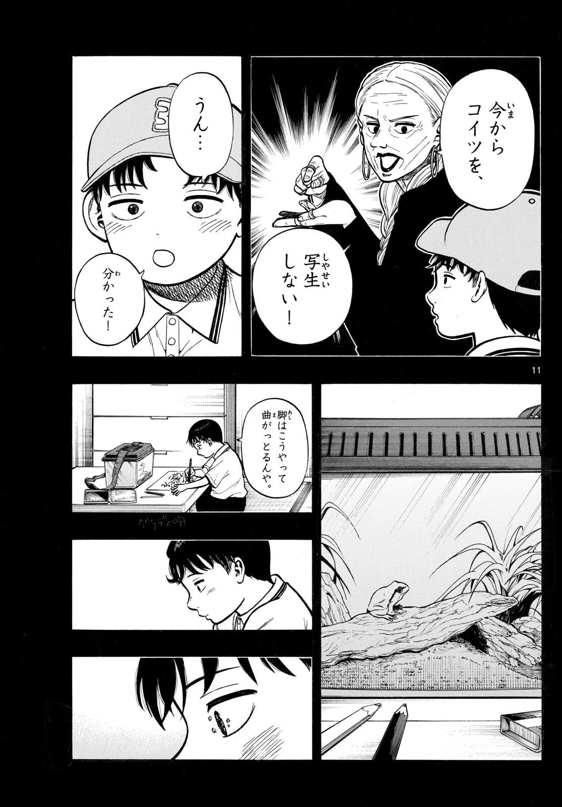 かくかまた 第37話 - 11