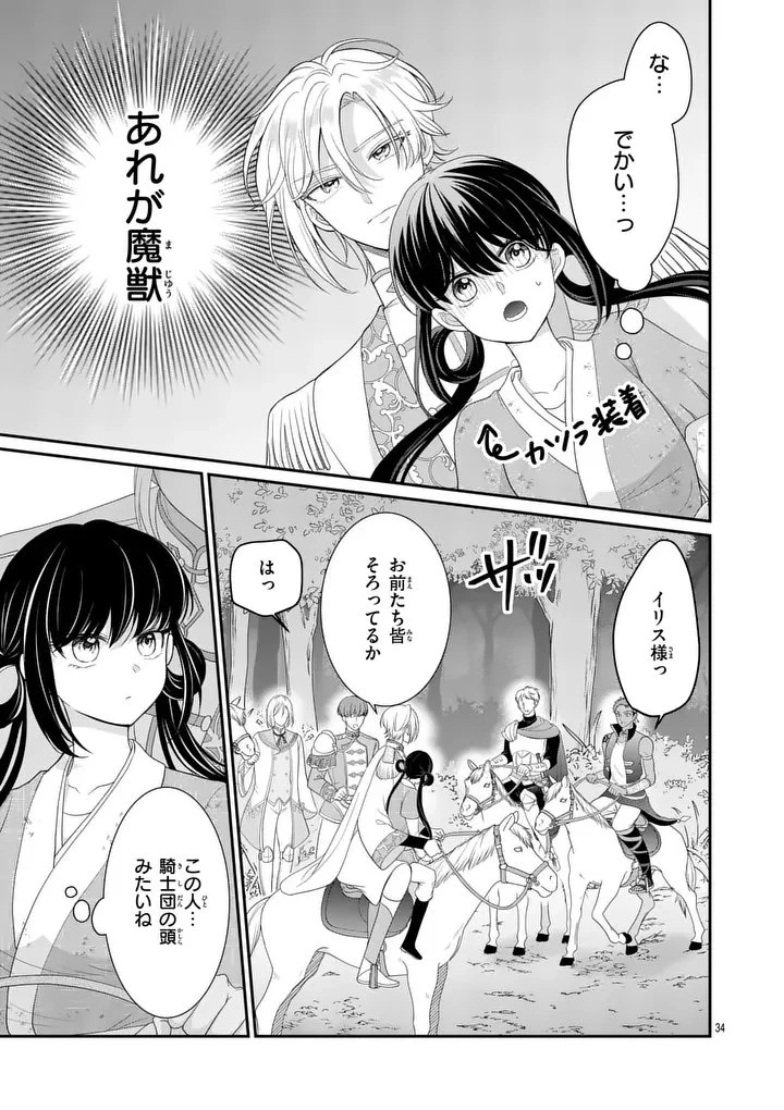 救世の騎士姫 ファラン 第1話 - 33