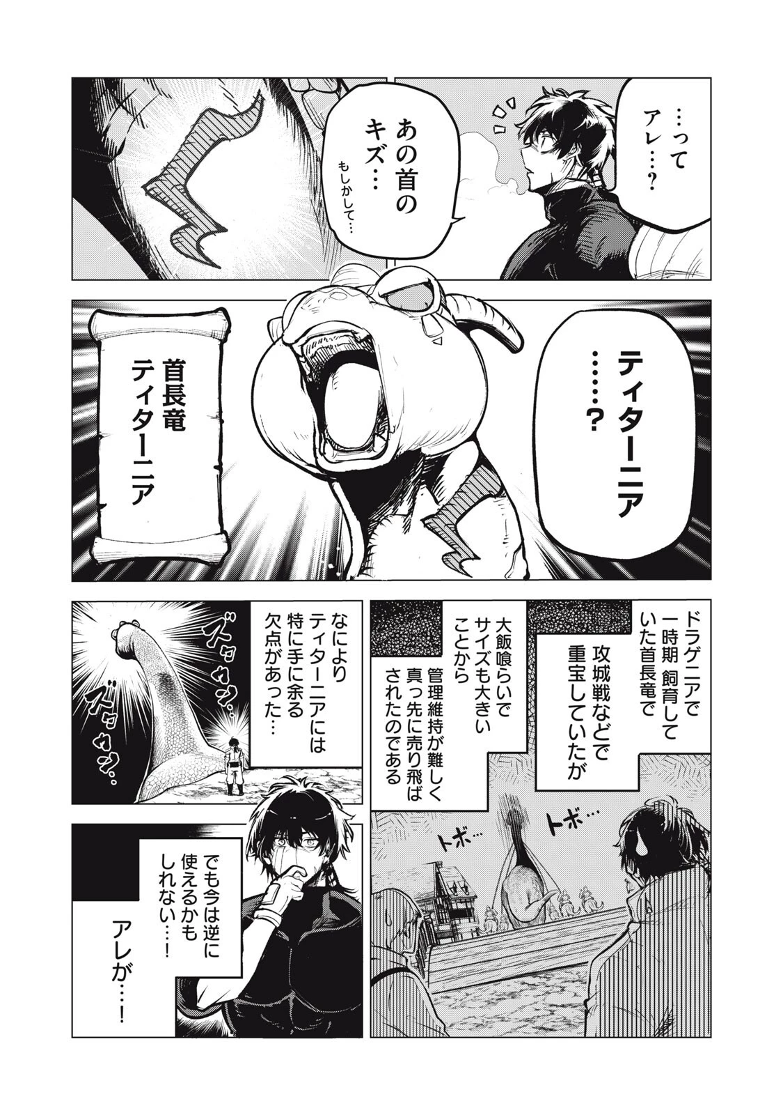 国を追われた竜師さん、拾われた隣国でうっかり無双してしまう。〜弱小国家が大陸最強の竜の楽園になるまで〜 第36話 - 10