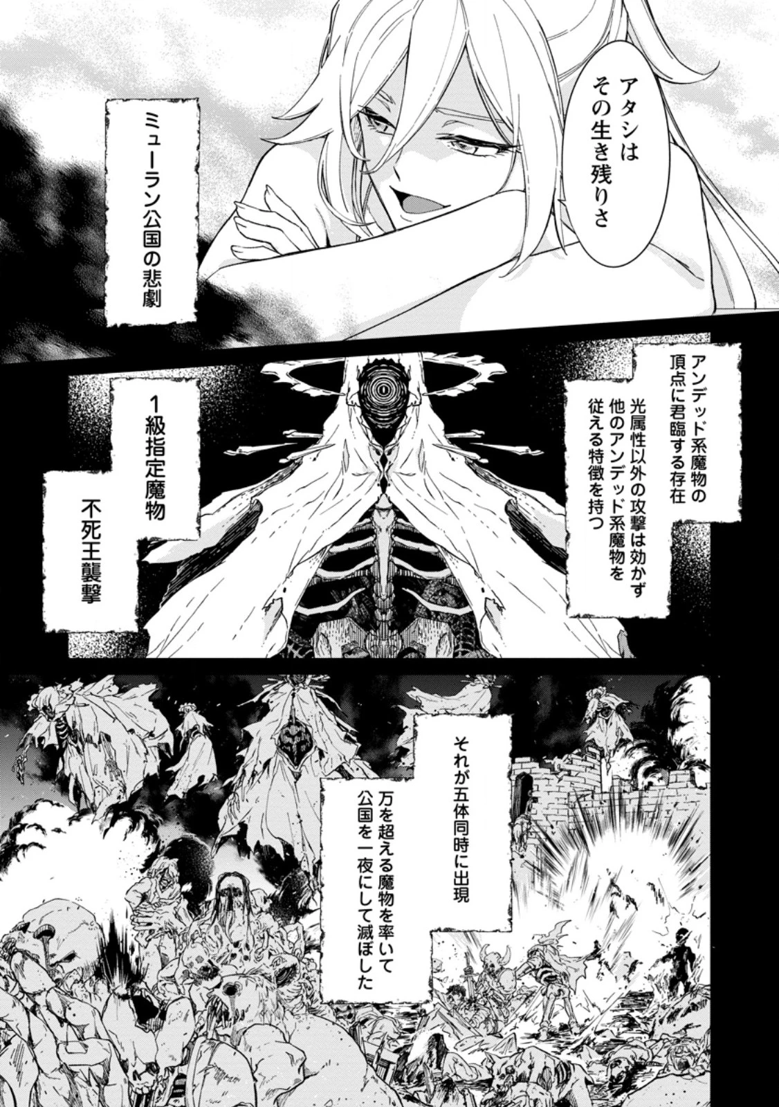 英雄ブランの人生計画 第二の人生は憧れの雑用係でお願いします 第14.2話 - 7