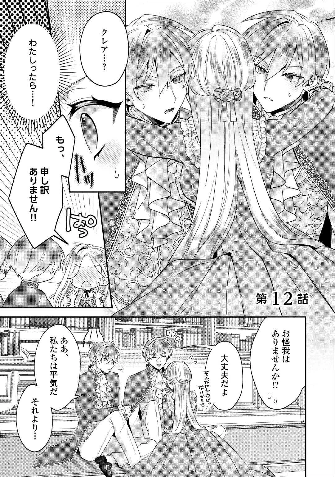 重婚なんてお断り! 絶対に双子の王子を見分けてみせます! 第12話 - 1
