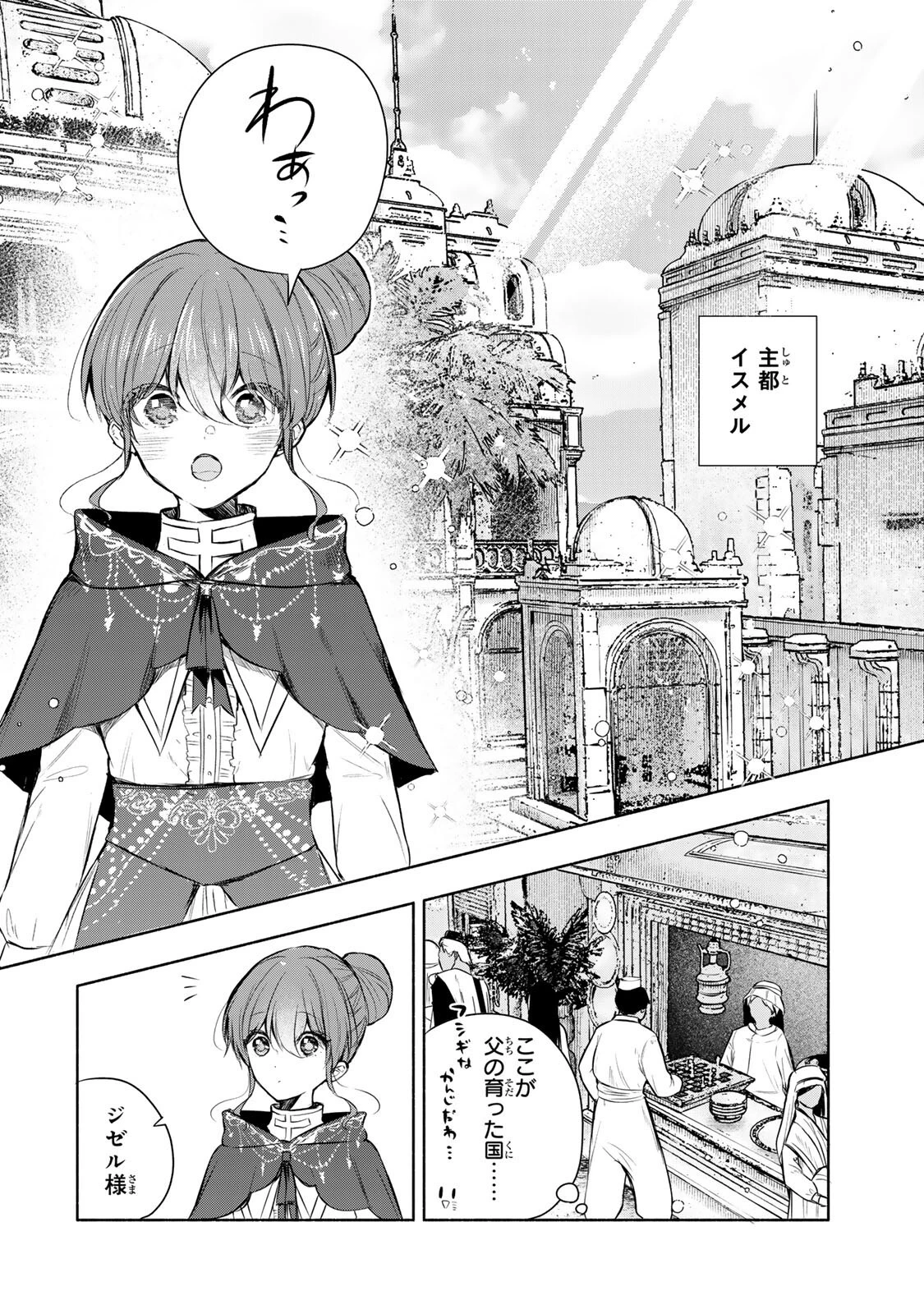 聖女様をお探しでしたら妹で間違いありません。さあどうぞお連れください、今すぐ。 第35.1話 - 12