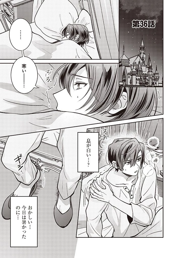 殿下、あなたが捨てた女が本物の聖女です 第36話 - 1