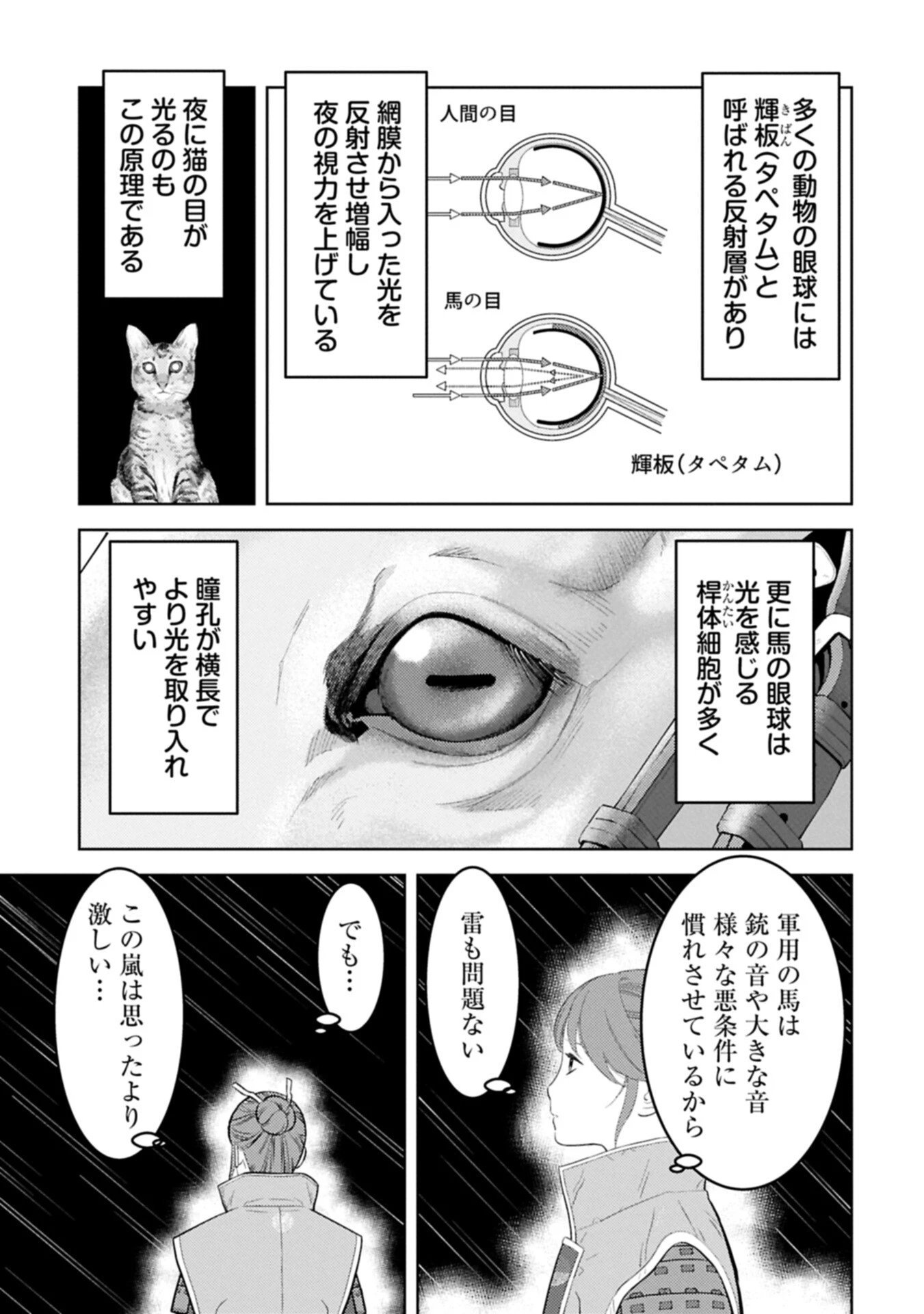 戦国小町苦労譚 第97.2話 - 5