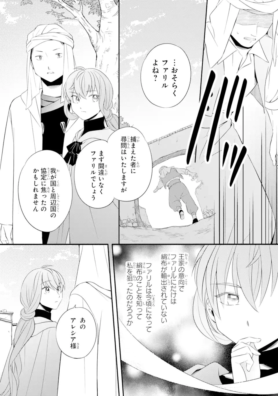 砂漠の国の雨降らし姫～前世で処刑された魔法使いは農家の娘になりました～ 第22.2話 - 9