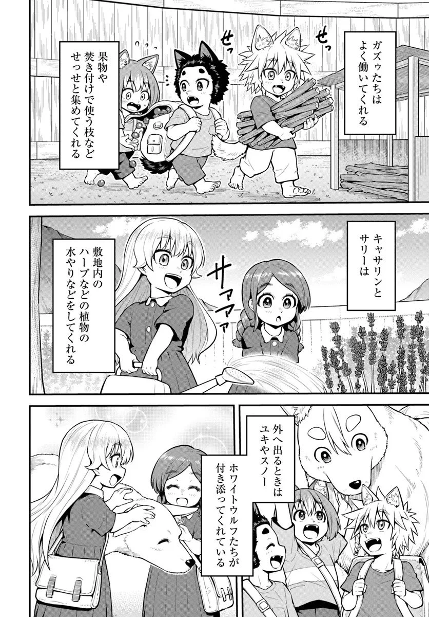 山、買いました 〜異世界暮らしも悪くない〜 第18.2話 - 12