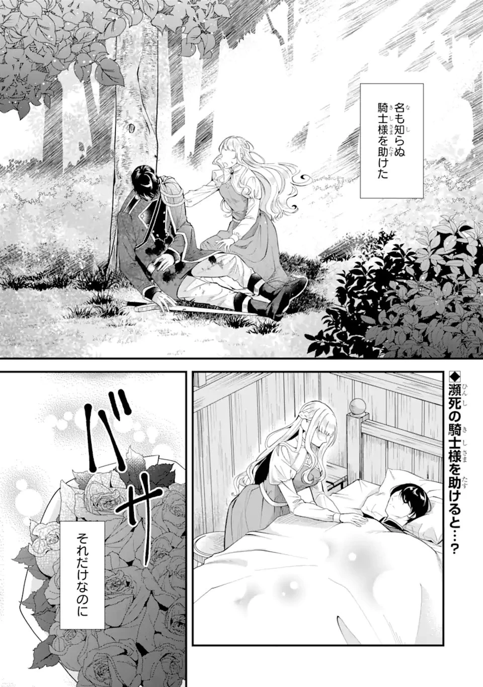 もうすぐ死ぬ聖女なので、騎士様あなたと結婚はできません！ 第1.1話 - 1