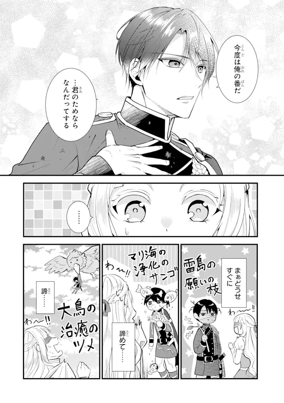 もうすぐ死ぬ聖女なので、騎士様あなたと結婚はできません！ 第1.1話 - 28