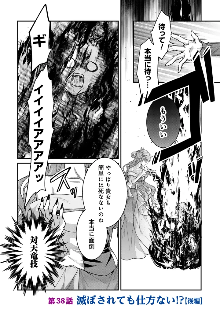 Ryuu ni Sodaterareta Saikyou The Strongest Raised by Dragons 竜に育てられた最強 竜に育てられた最強　～全てを極めた少年は人間界を無双する～ 第38.2話 - 1