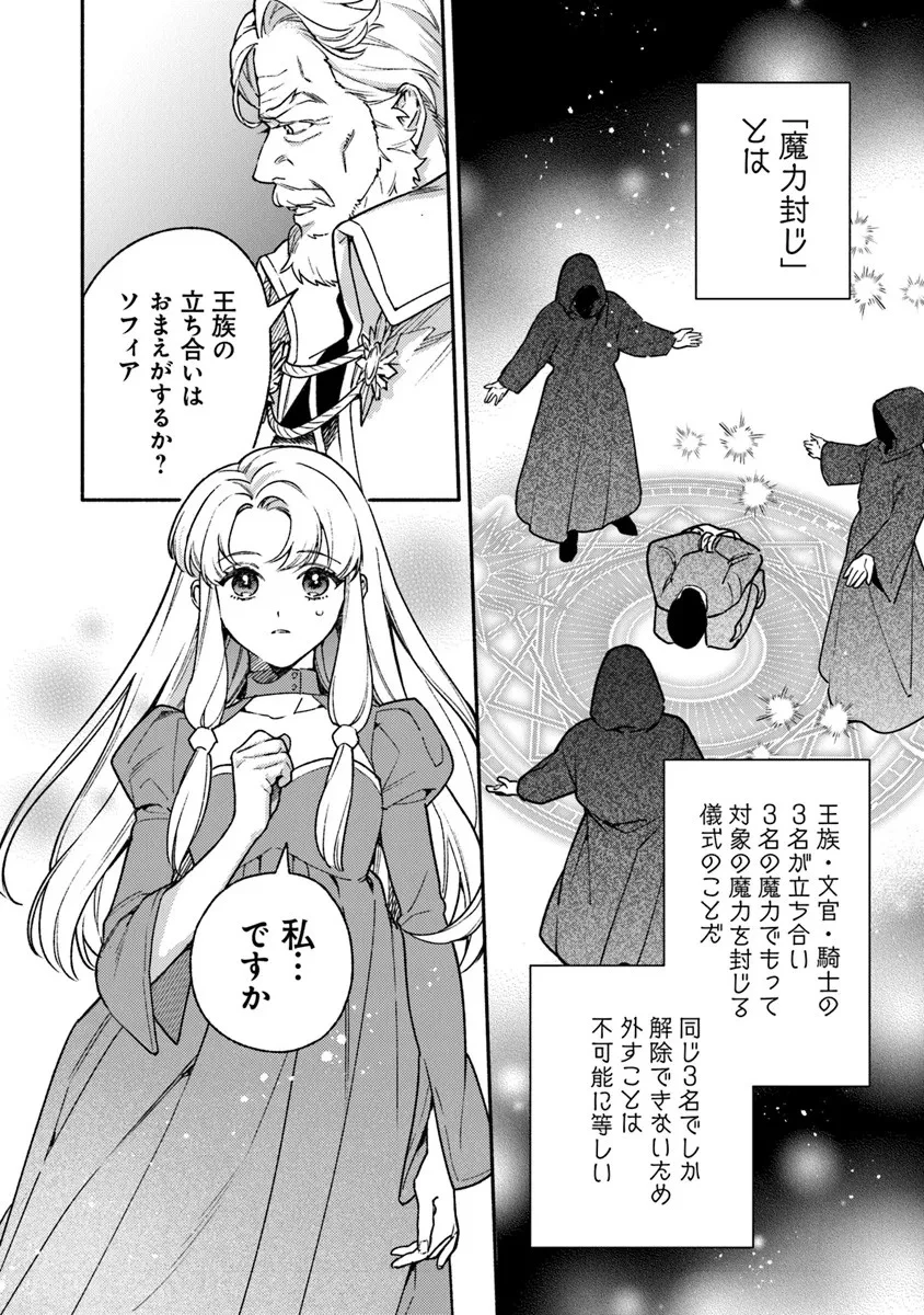 ハズレ姫は意外と愛されている? 第14.2話 - 2