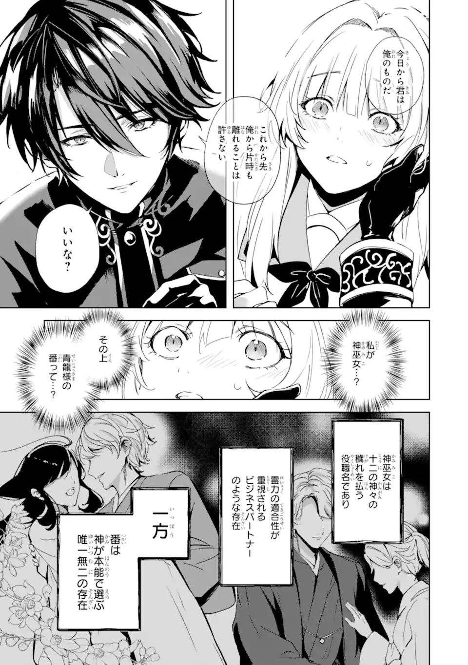 龍の贄嫁〜虐げられた少女は運命の番として愛される〜 第2話 - 3