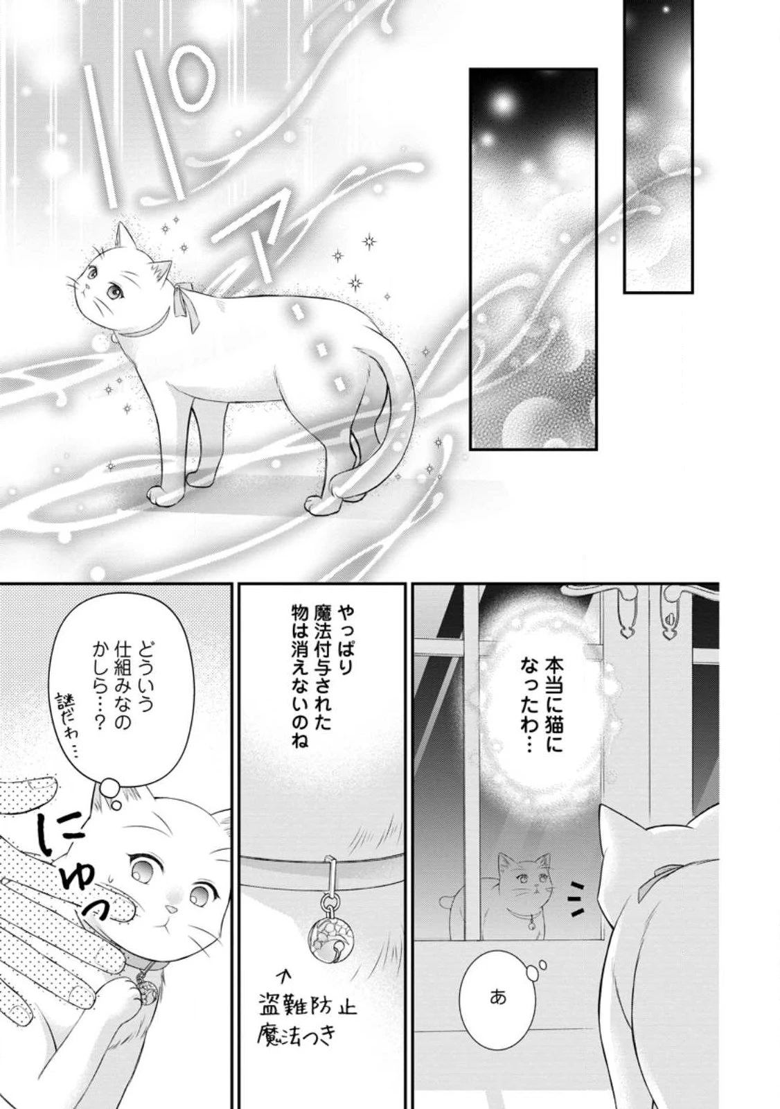 呪いで猫にされた悪女、王太子に拾われる。 第16.3話 - 1