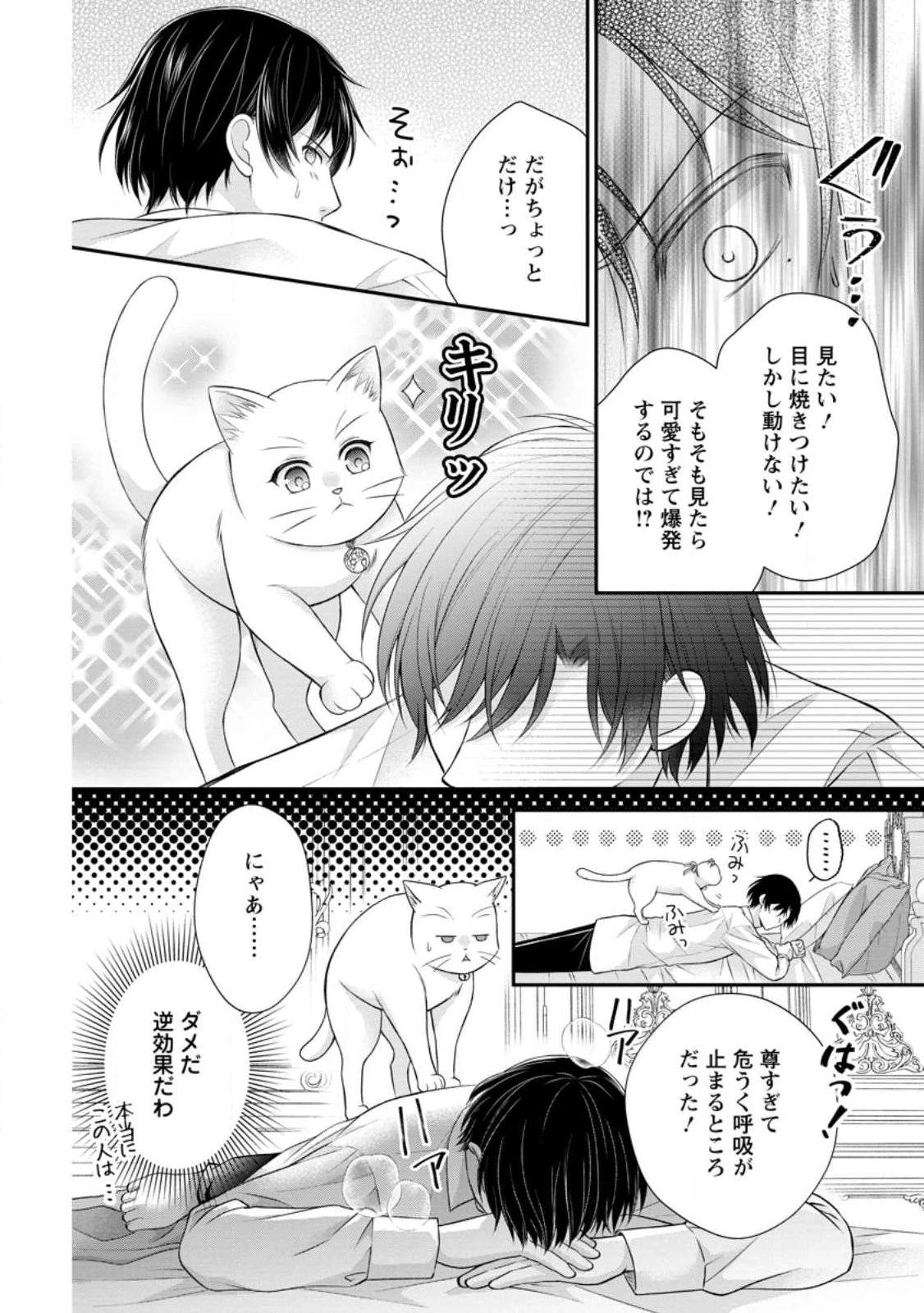 呪いで猫にされた悪女、王太子に拾われる。 第16.3話 - 8