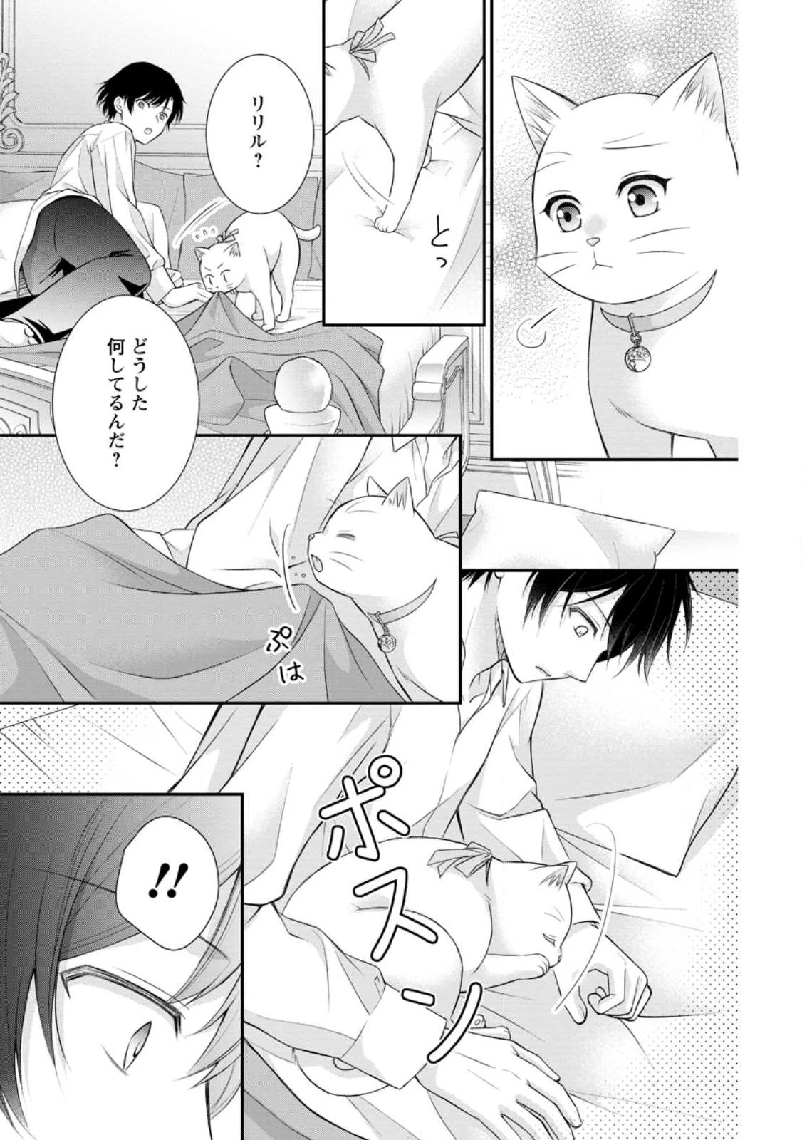 呪いで猫にされた悪女、王太子に拾われる。 第16.3話 - 9