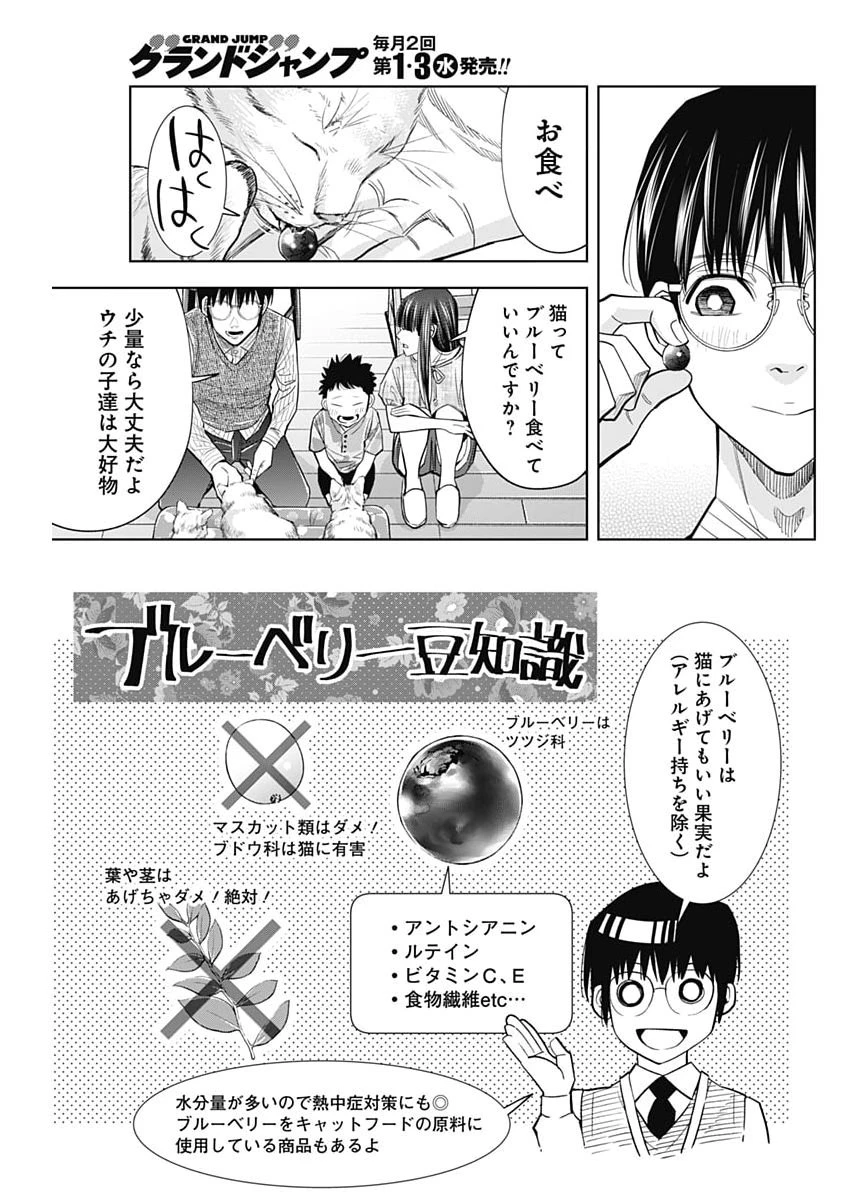 ココハ家族ガキエル町 第9話 - 9