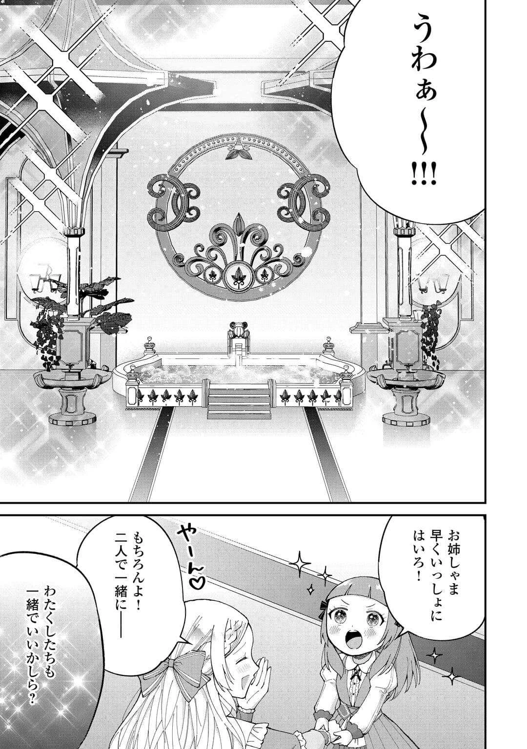 私の家族はハイスペックです! 落ちこぼれ転生末姫ですが溺愛されつつ世界救っちゃいます! 第4話 - 9