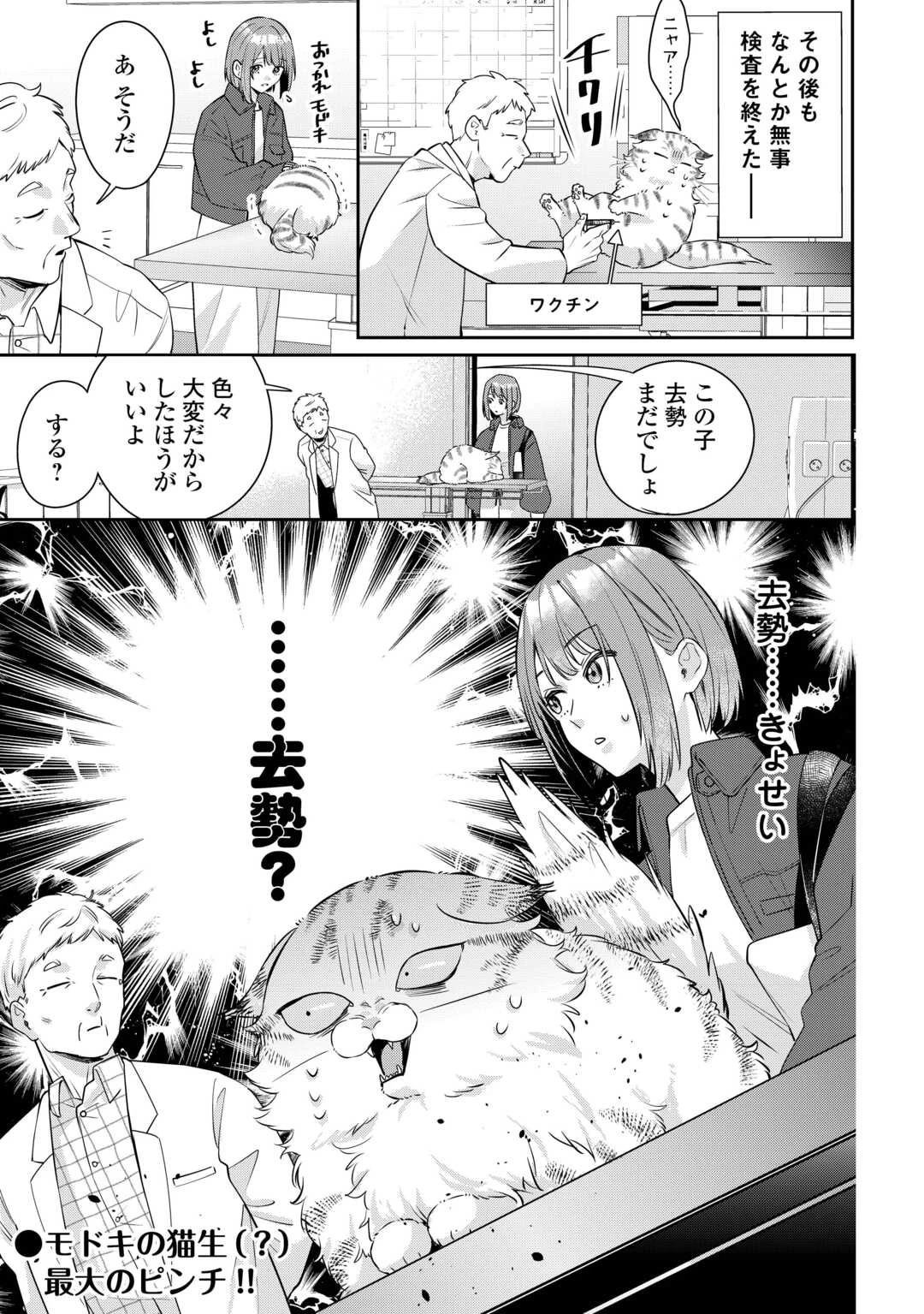 拾ったのが本当に猫かは疑わしい 第2.1話 - 15