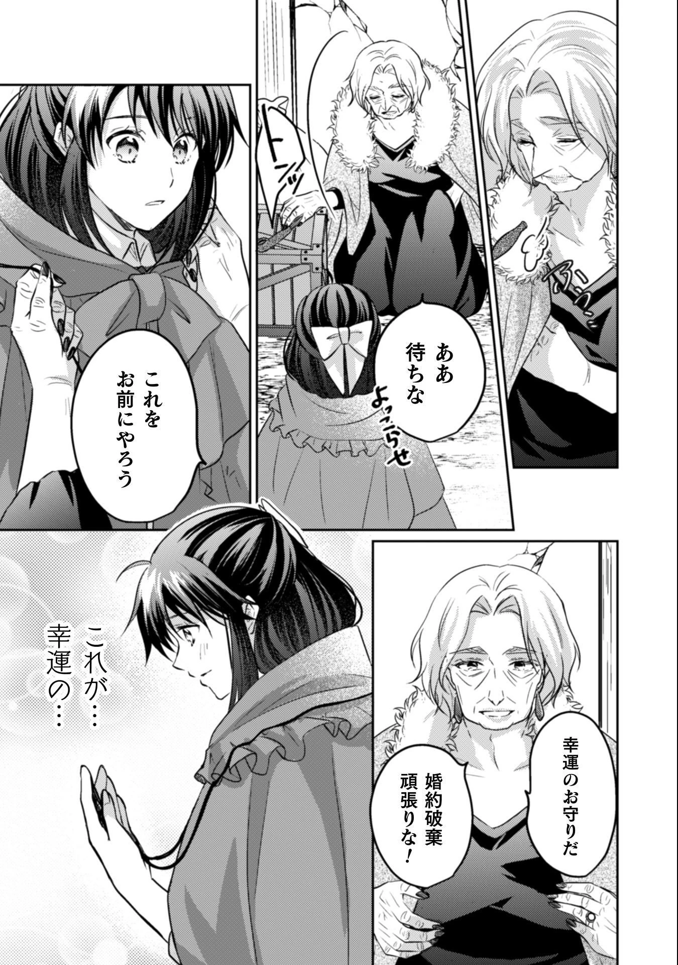 お気楽令嬢は、婚約破棄にほくそ笑む 第13話 - 18