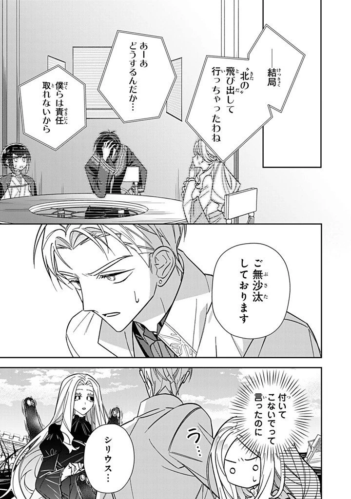 自由気ままな精霊姫 第32.2話 - 9