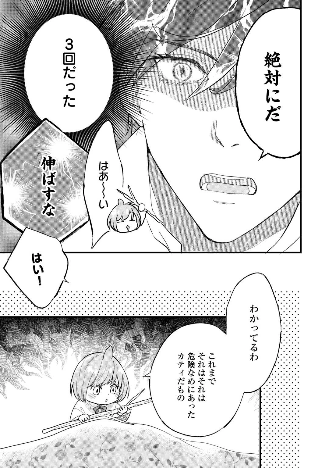 転生赤ちゃんカティは諜報活動しています―そして鬼畜な父に溺愛されているようです― 第20話 - 29