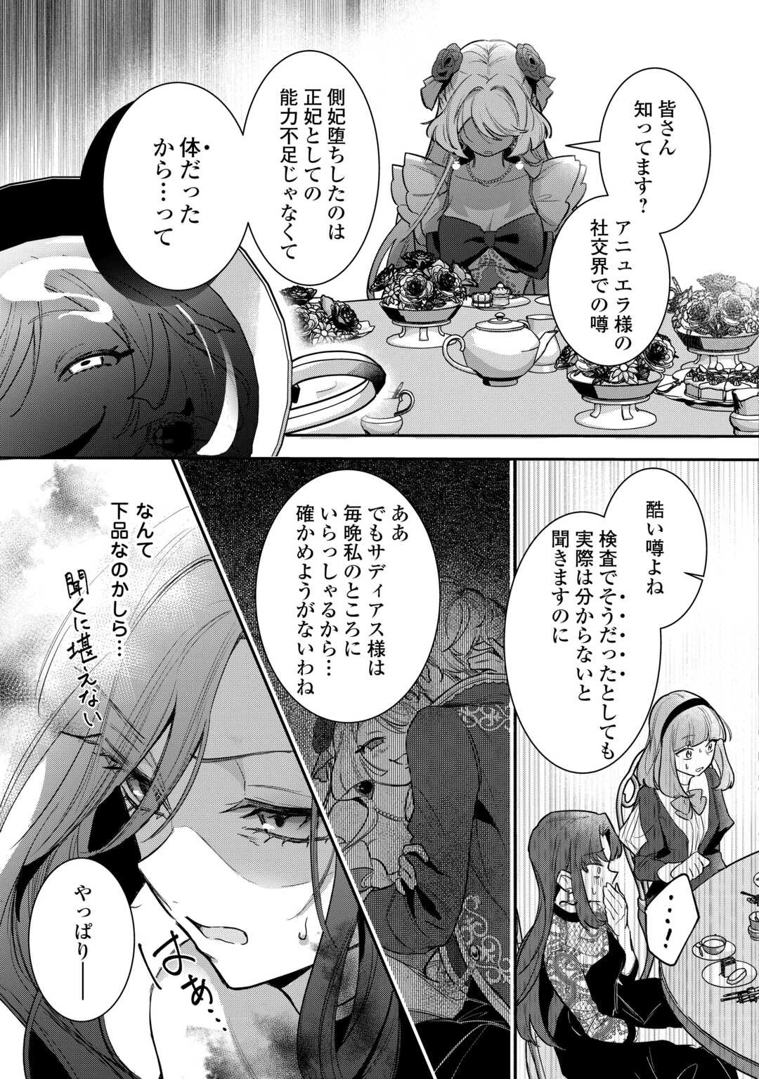 側妃のお仕事は終了です。 第2話 - 17