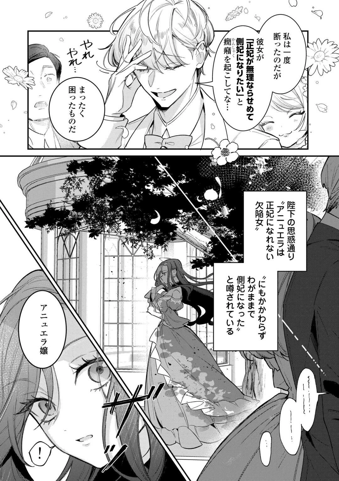 側妃のお仕事は終了です。 第1話 - 20