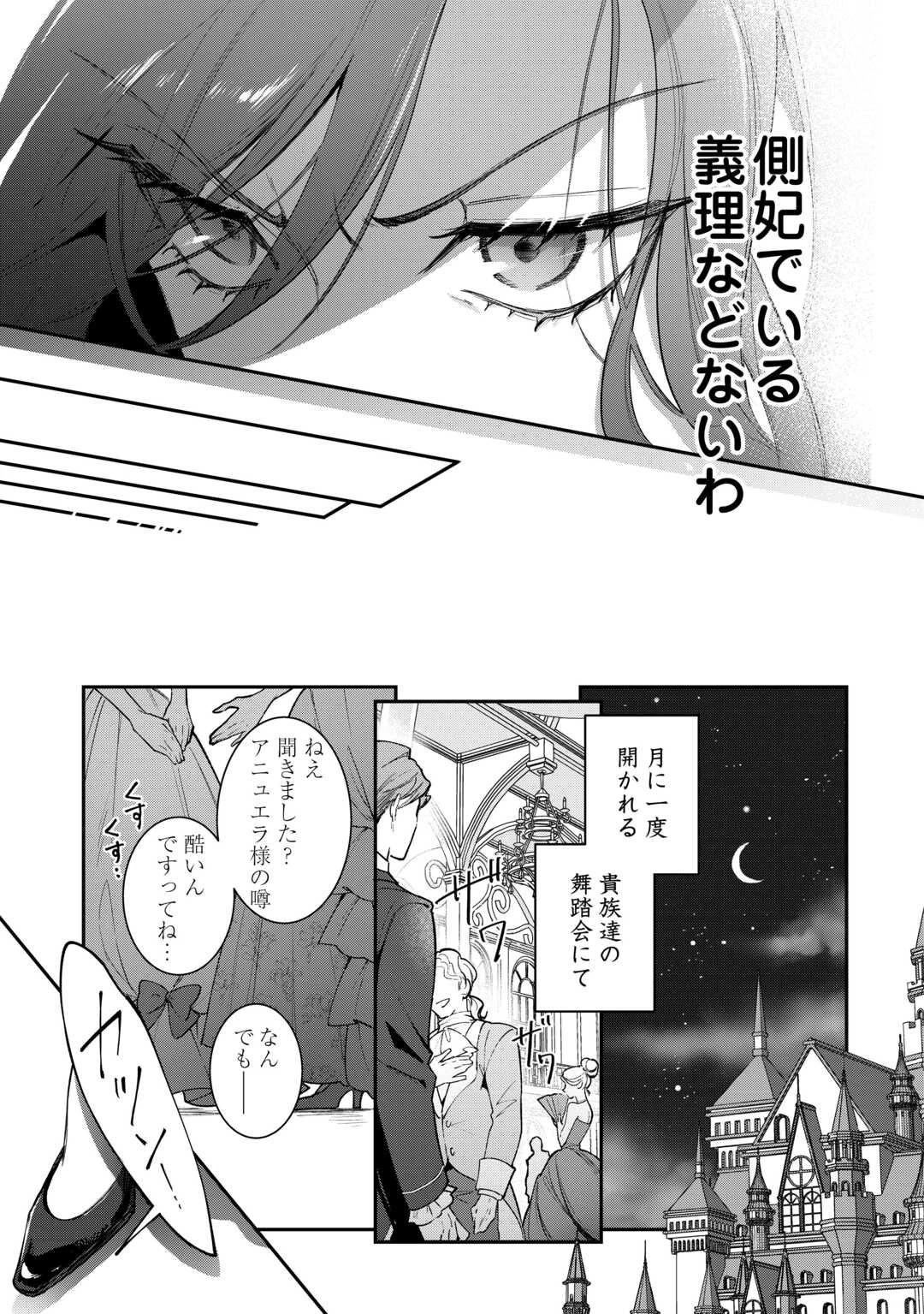 側妃のお仕事は終了です。 第1話 - 25