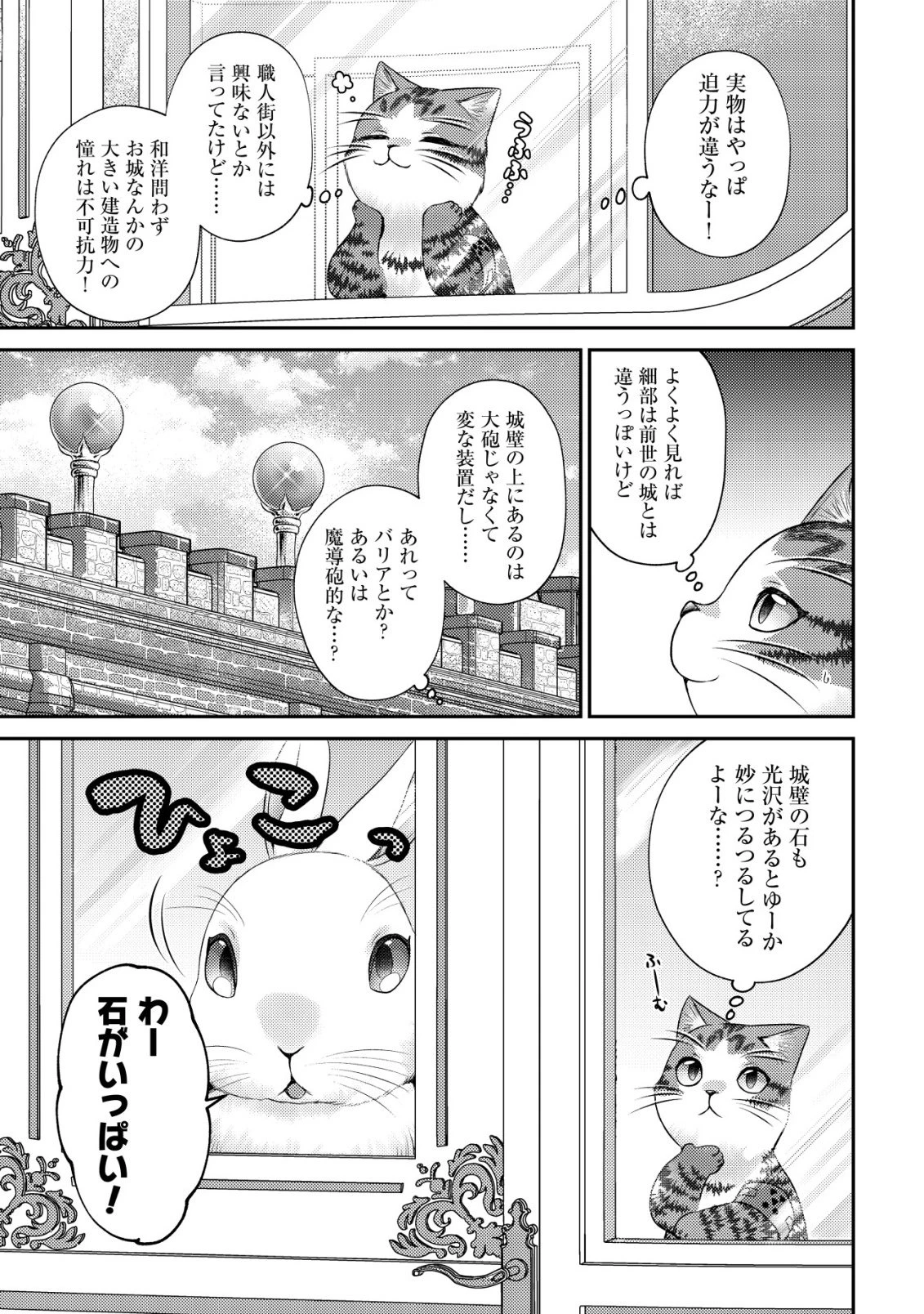 我輩は猫魔導師である～キジトラ・ルークの快適チート猫生活～ 第28話 - 3