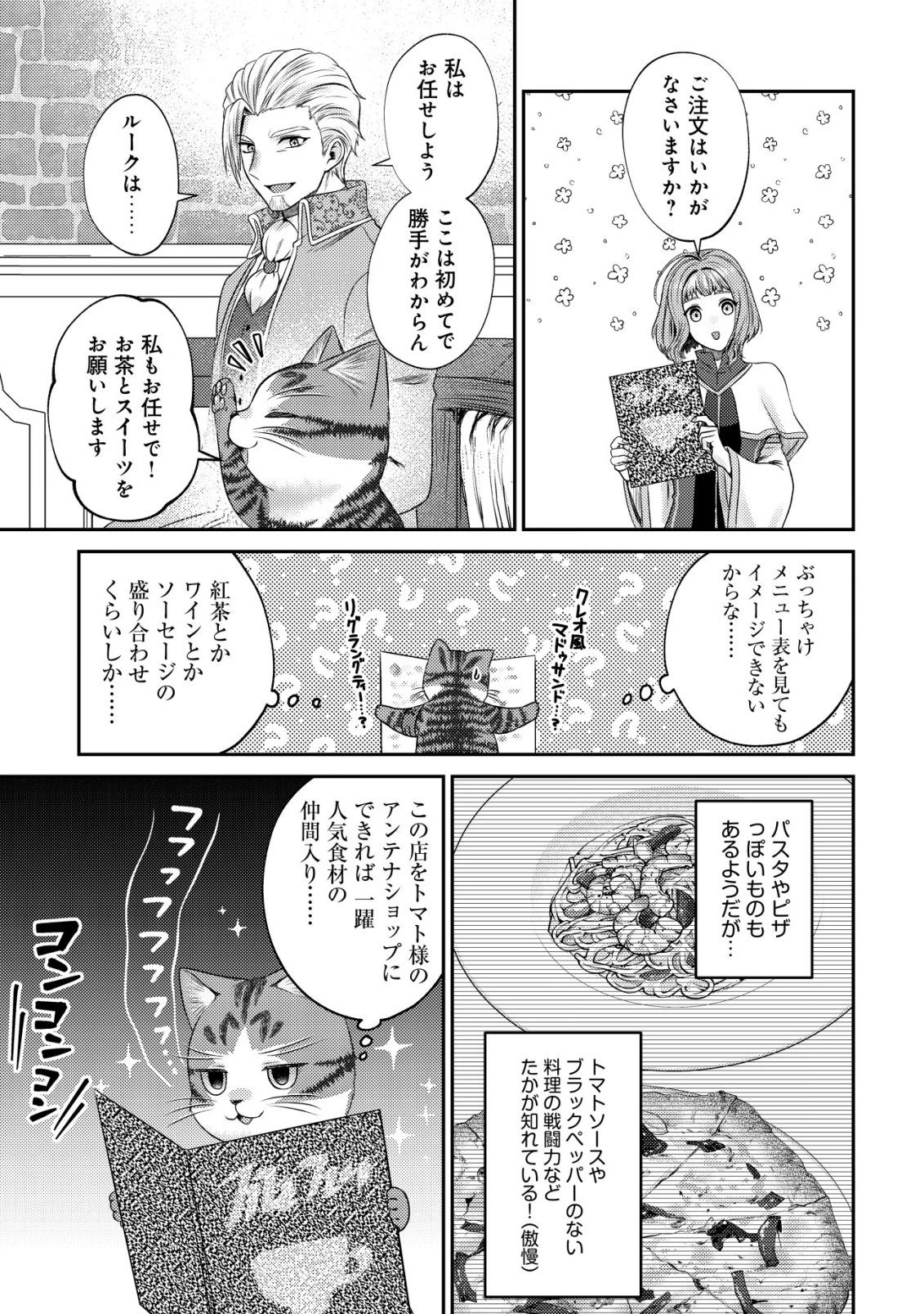 我輩は猫魔導師である～キジトラ・ルークの快適チート猫生活～ 第28話 - 19