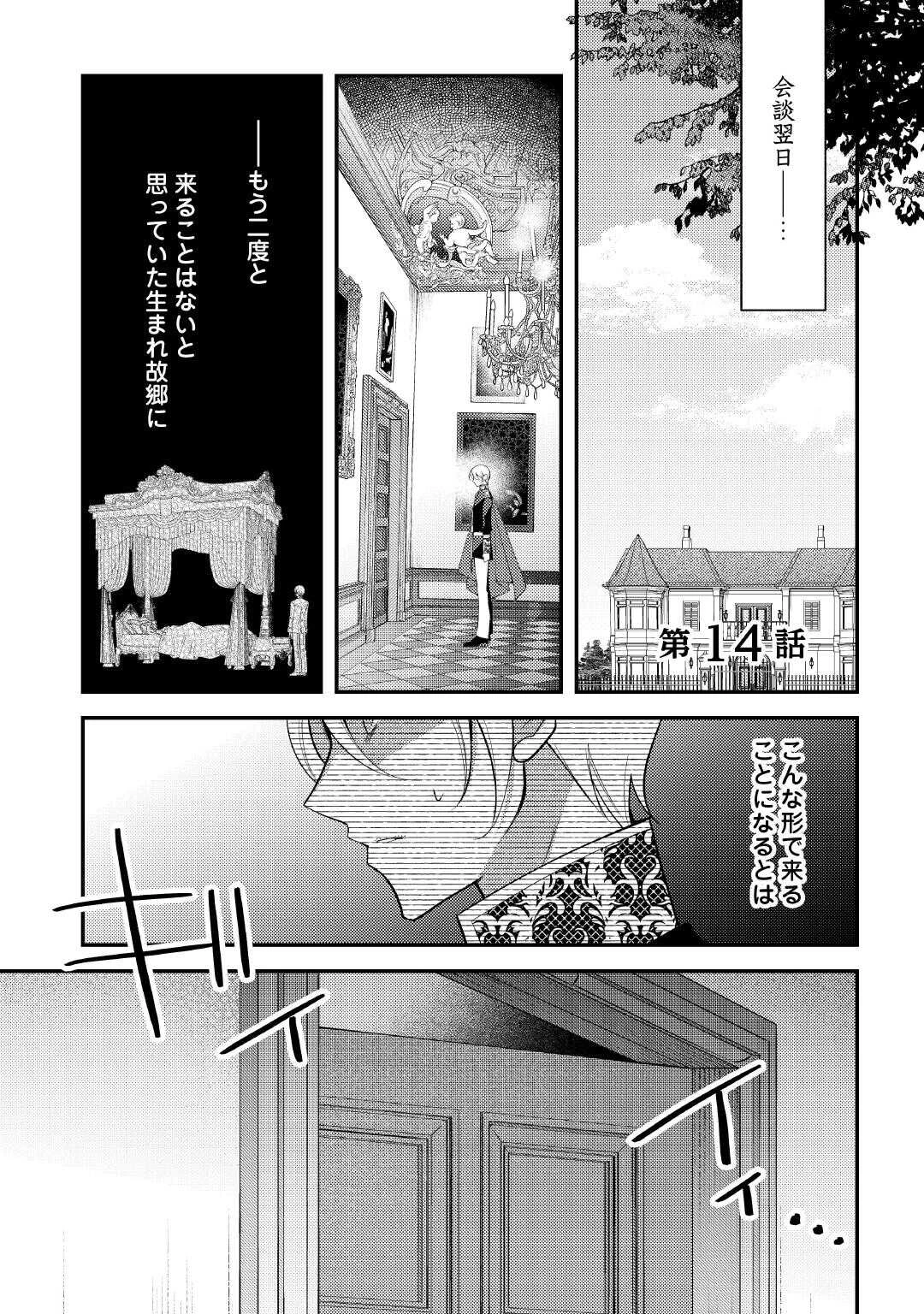 死んだ王妃は二度目の人生を楽しみます ーお飾りの王妃は必要ないのでしょう?ー 第14話 - 1