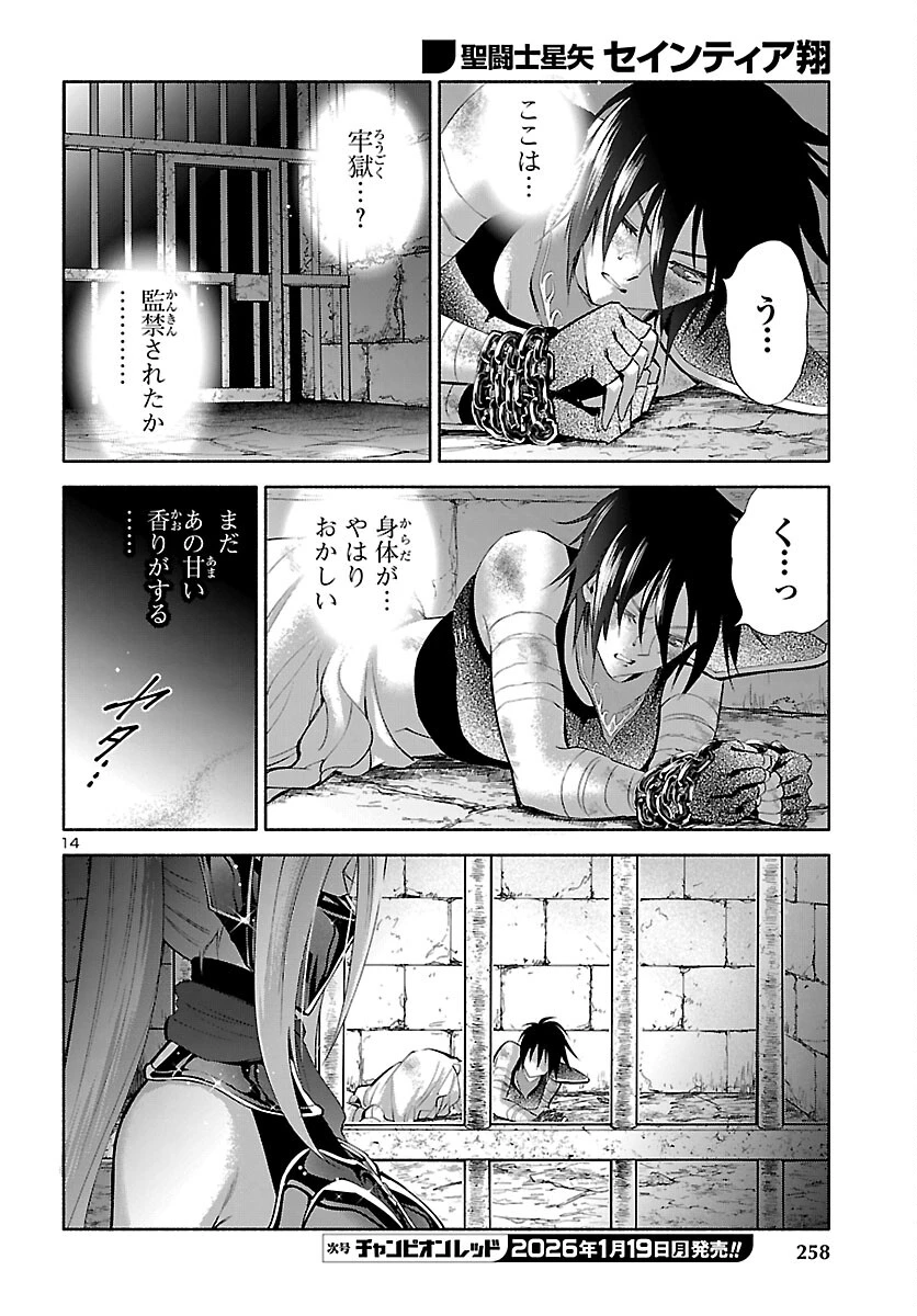 聖闘士星矢セインティア翔 MEMORIES 第5話 - 15