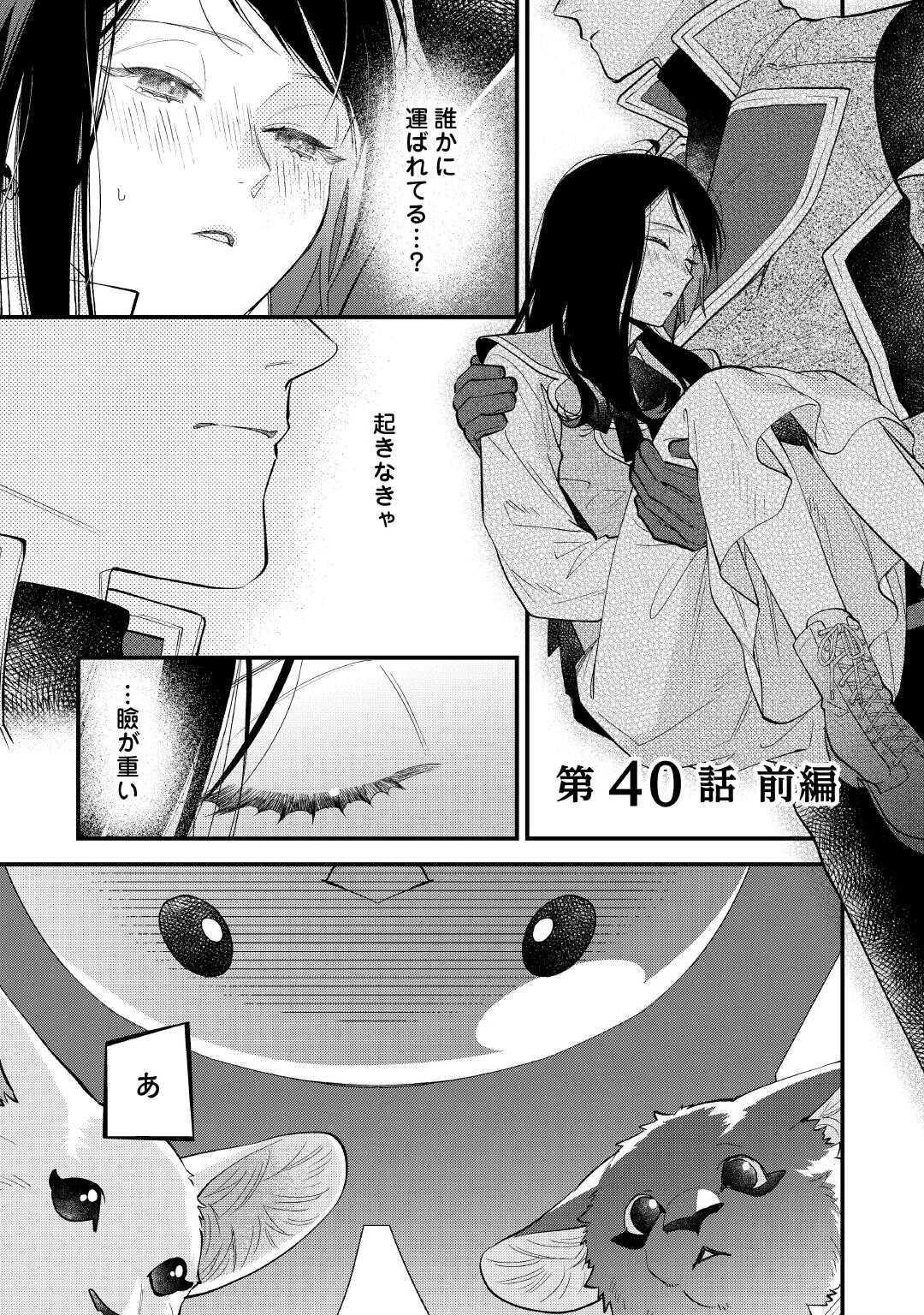 転移先は薬師が少ない世界でした 第40話 - 1