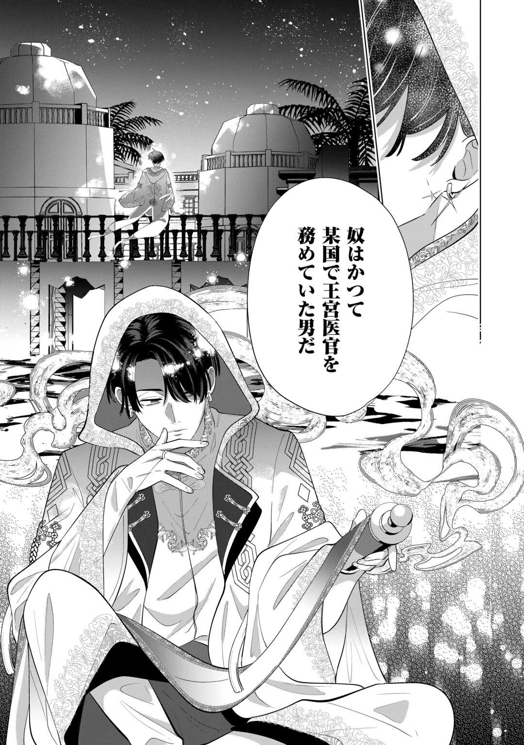 私を追い出すのはいいですけど、この家の薬作ったの全部私ですよ？ 第18話 - 29