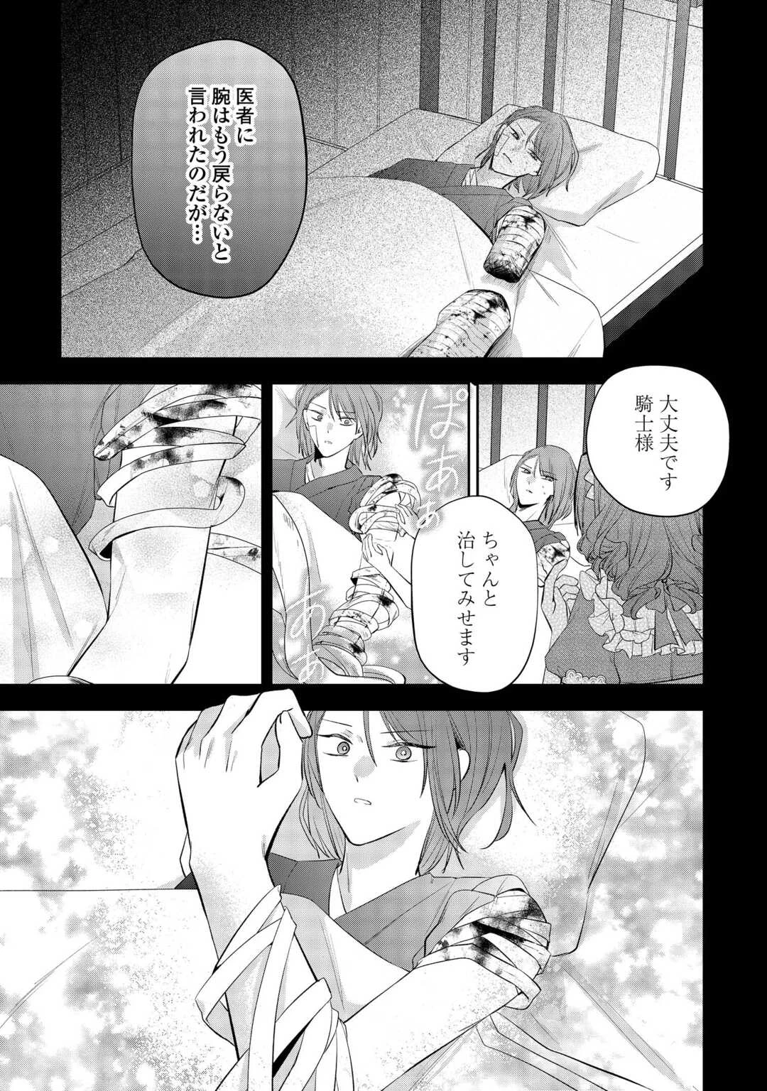 前世で処刑された聖女、今は黒薬師と呼ばれています 第3話 - 5