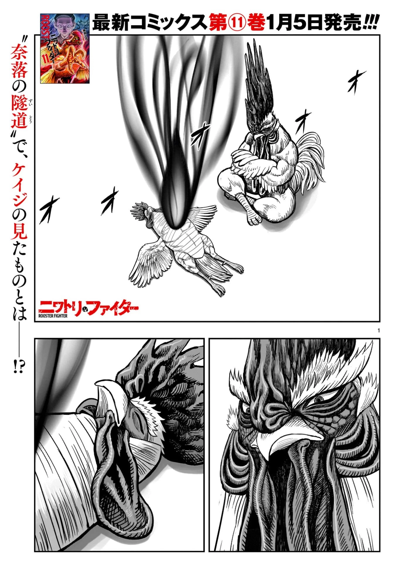 ニワトリ・ファイター 第56話 - 1