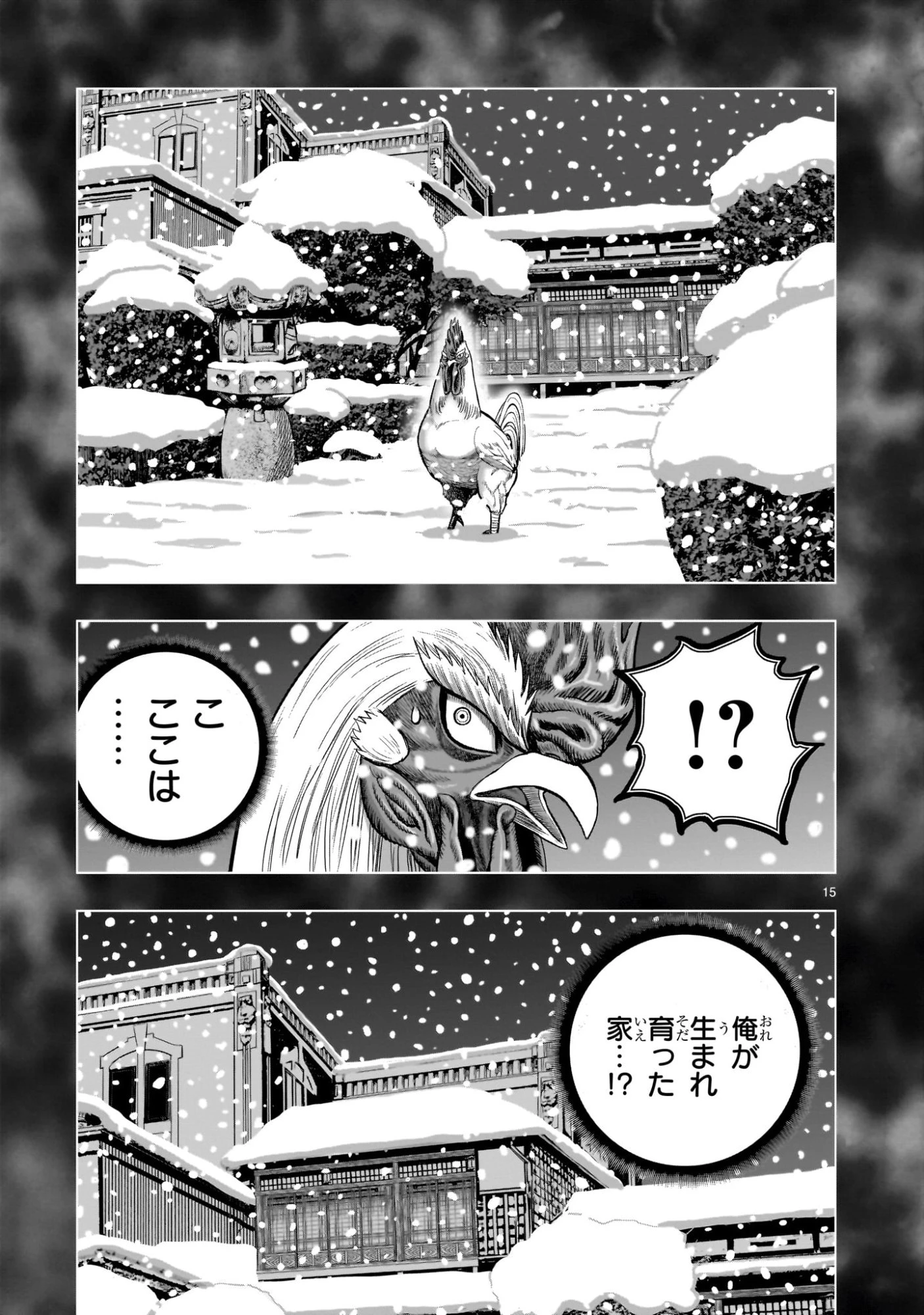 ニワトリ・ファイター 第56話 - 15