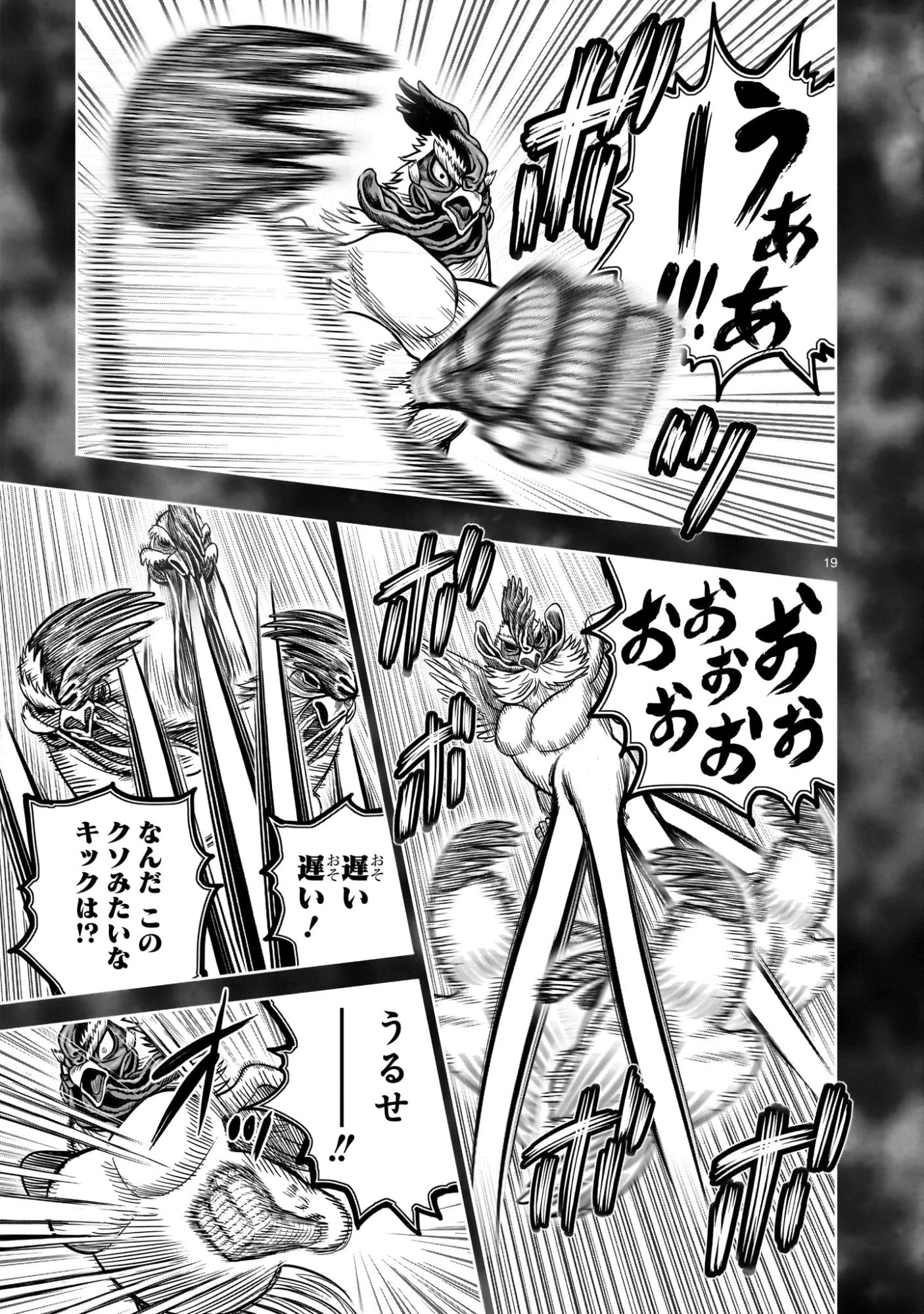 ニワトリ・ファイター 第56話 - 19