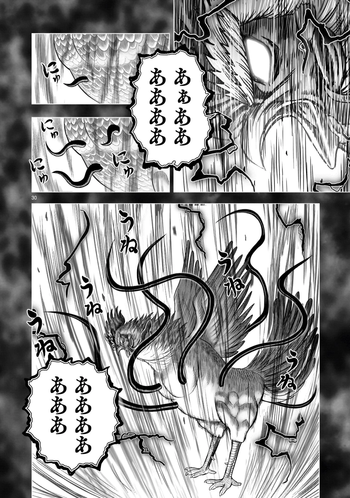 ニワトリ・ファイター 第56話 - 30