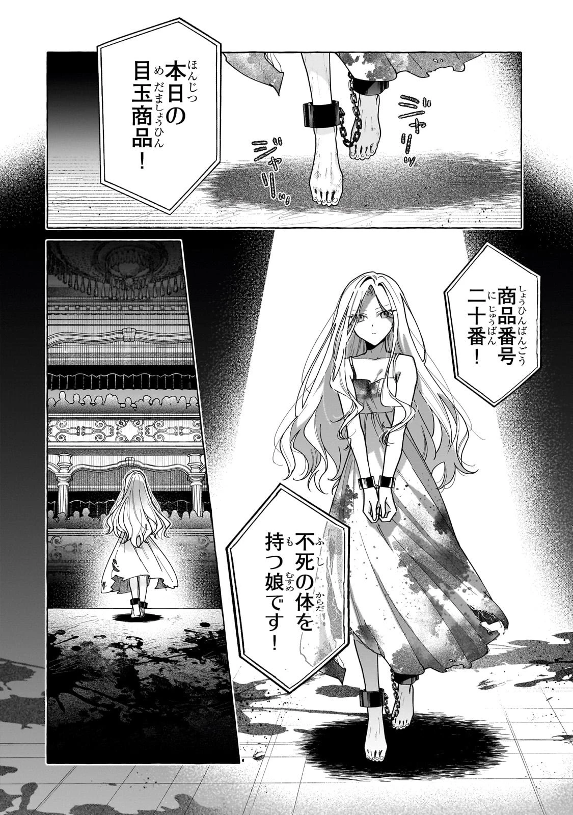 暗殺者は不死の魔女を殺したい 第1話 - 42