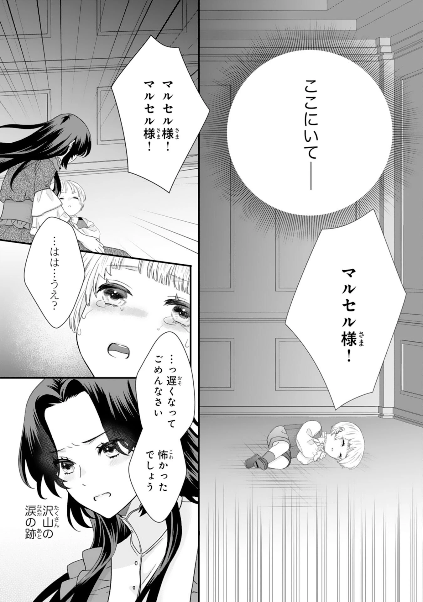 双子王子の継母になりまして～嫌われ悪女ですが、そんなことより義息子たちが可愛すぎて困ります～ 第11話 - 12