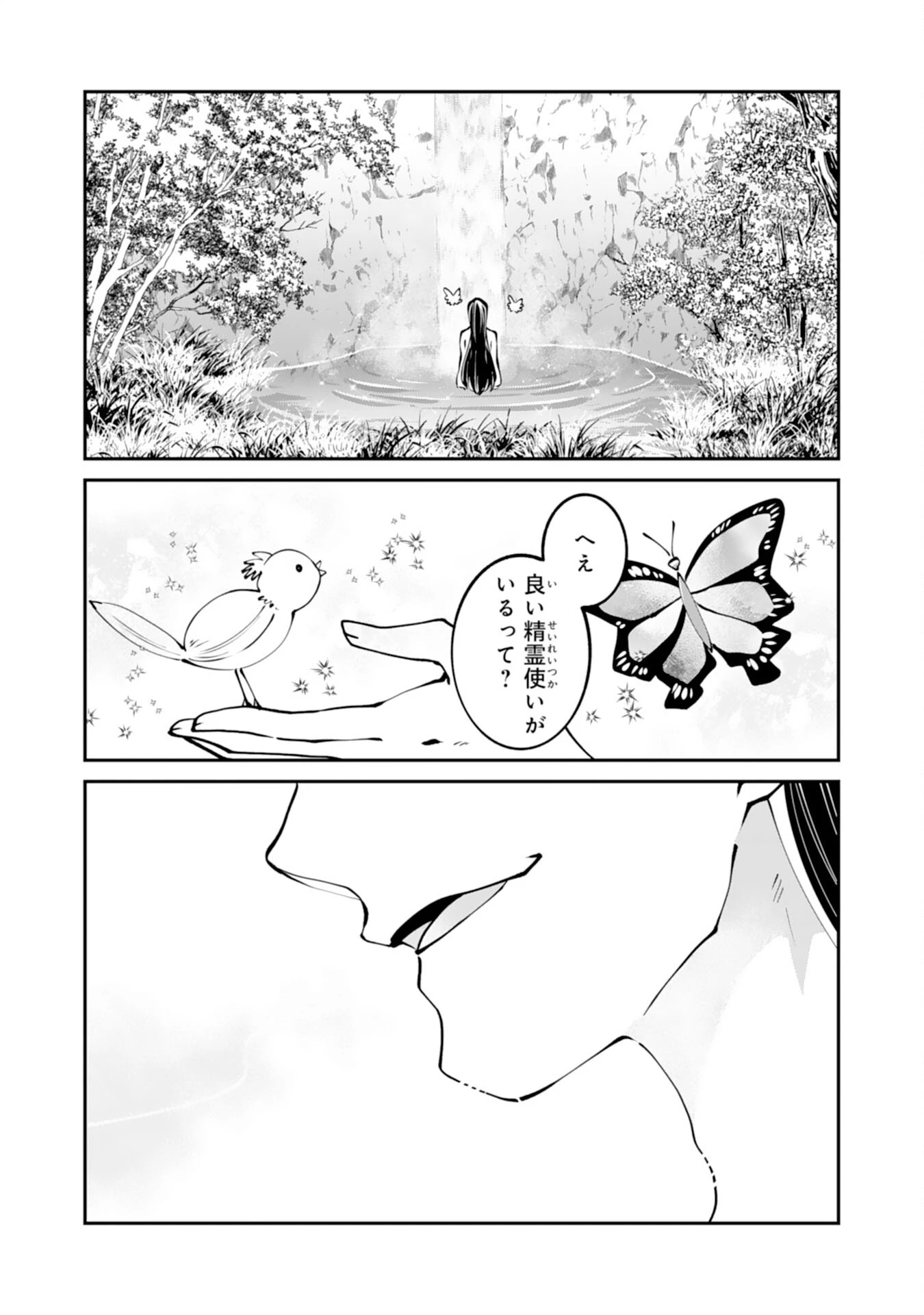 お前呼ばわりで婚約破棄？隣国で自由を謳歌するのでどうぞお構いなく！～追放令嬢、実は最強精霊師でした～ 第10話 - 24