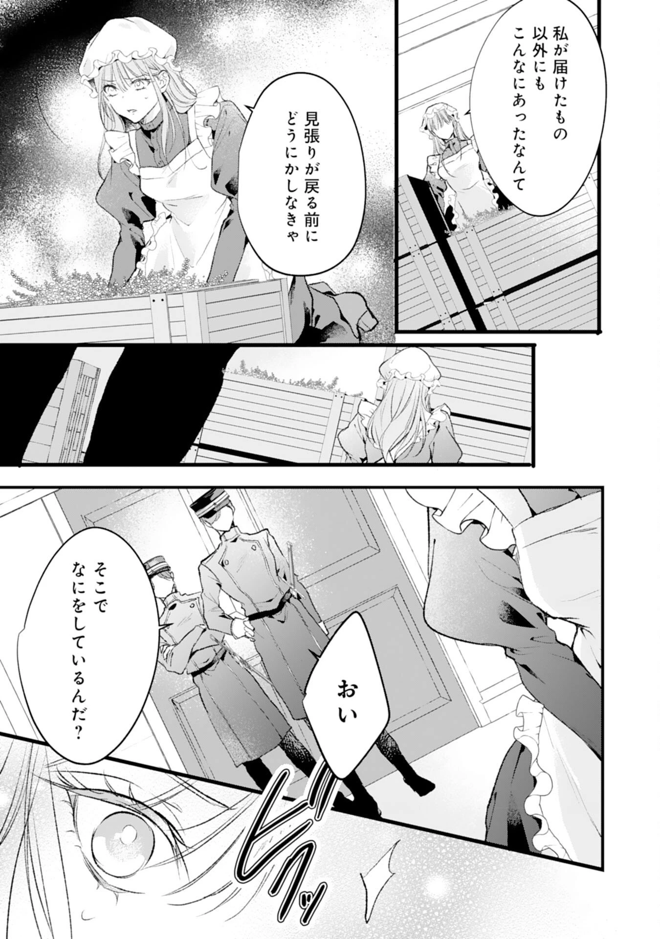 悪女のレッテルを貼られた追放令嬢ですが、最恐陛下の溺愛に捕まりました 第15話 - 25