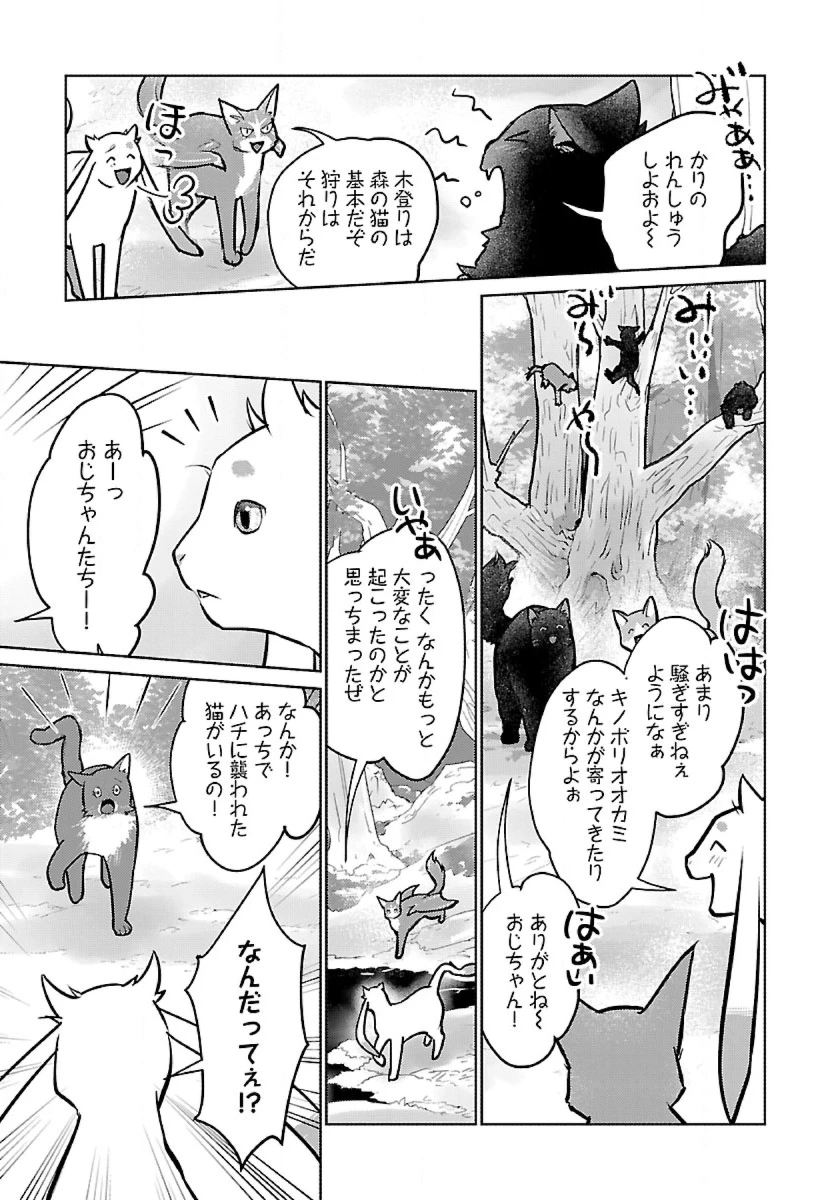 猫と竜 第53話 - 11